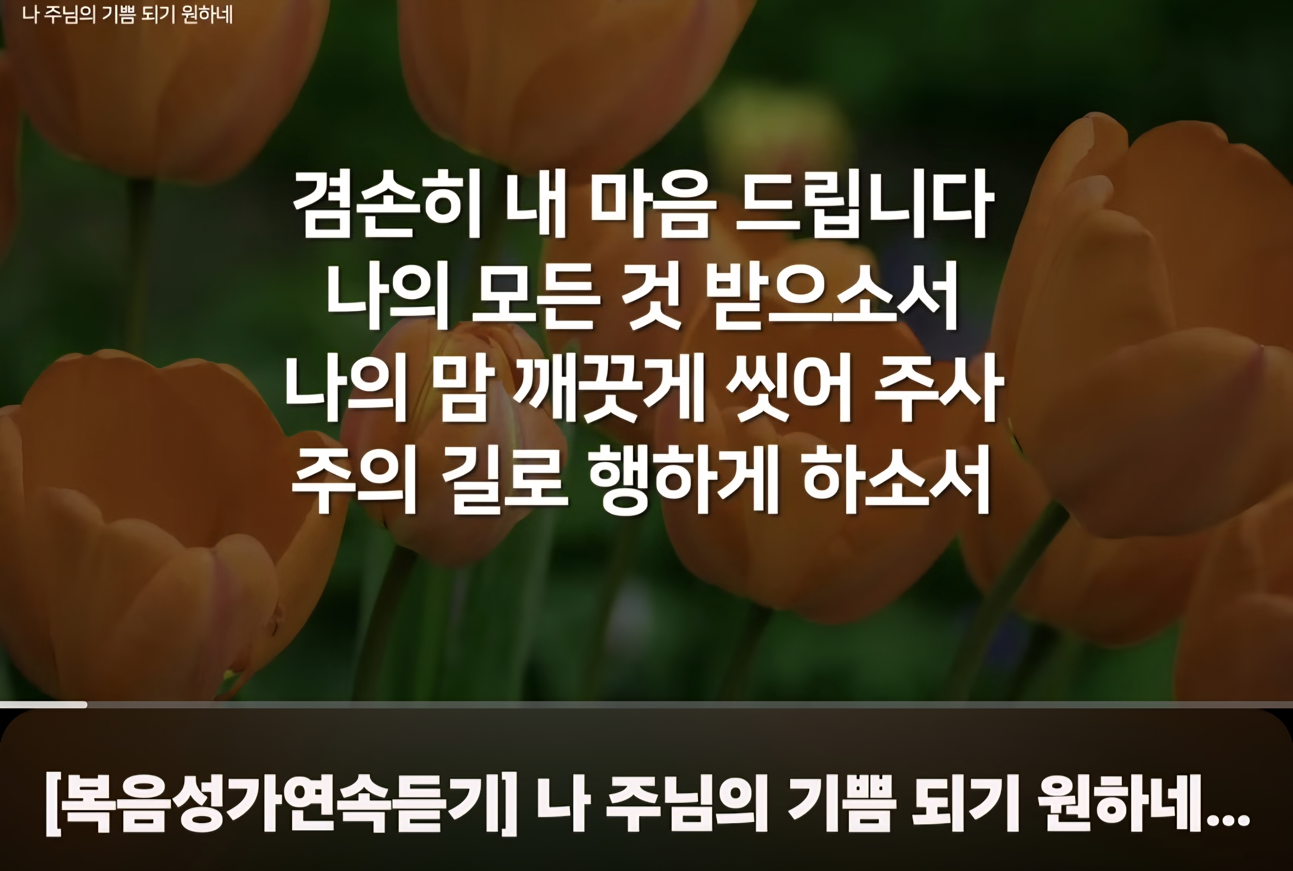 주님의 기쁨되길 원하네