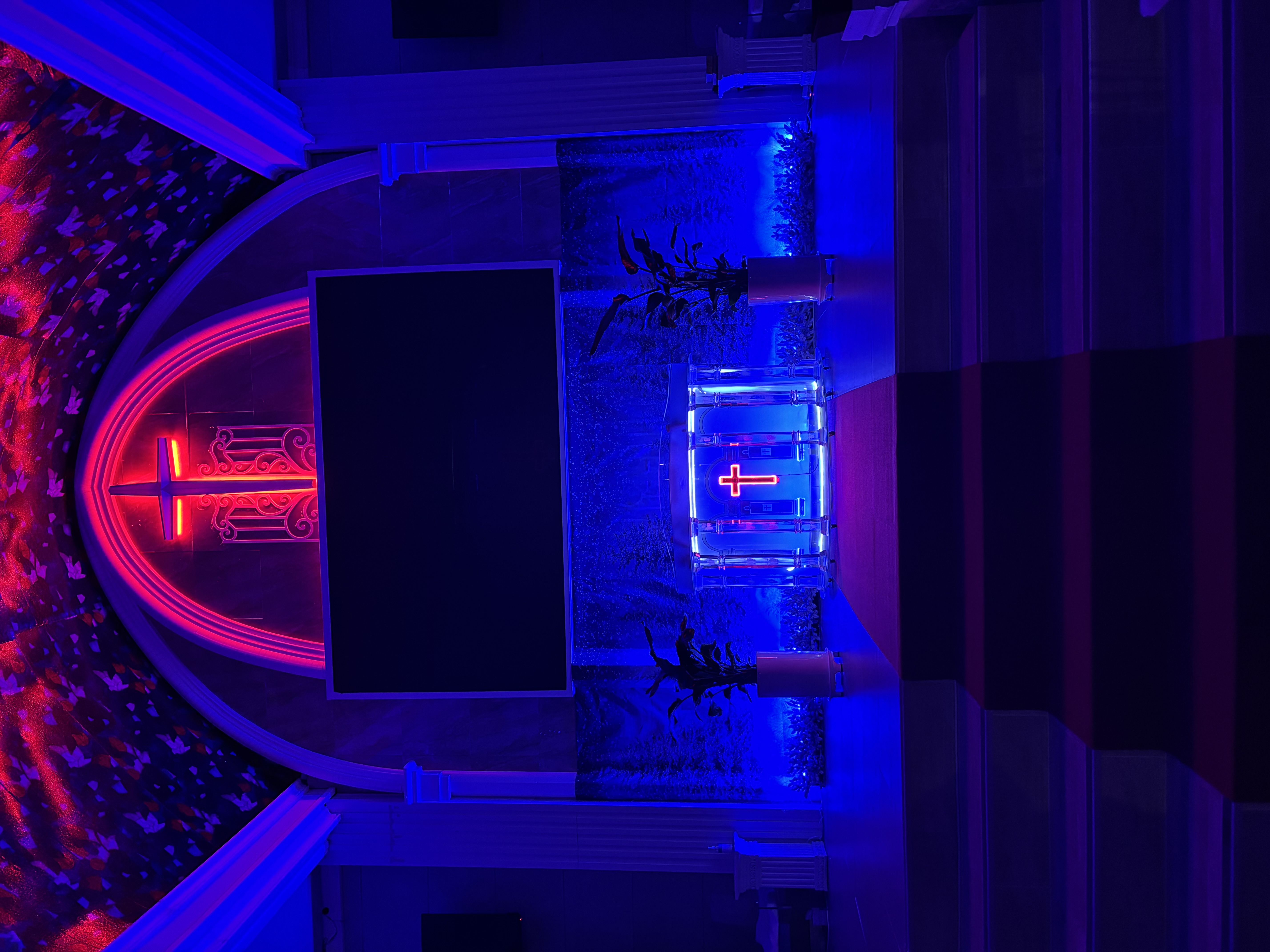 사랑과 아름다움