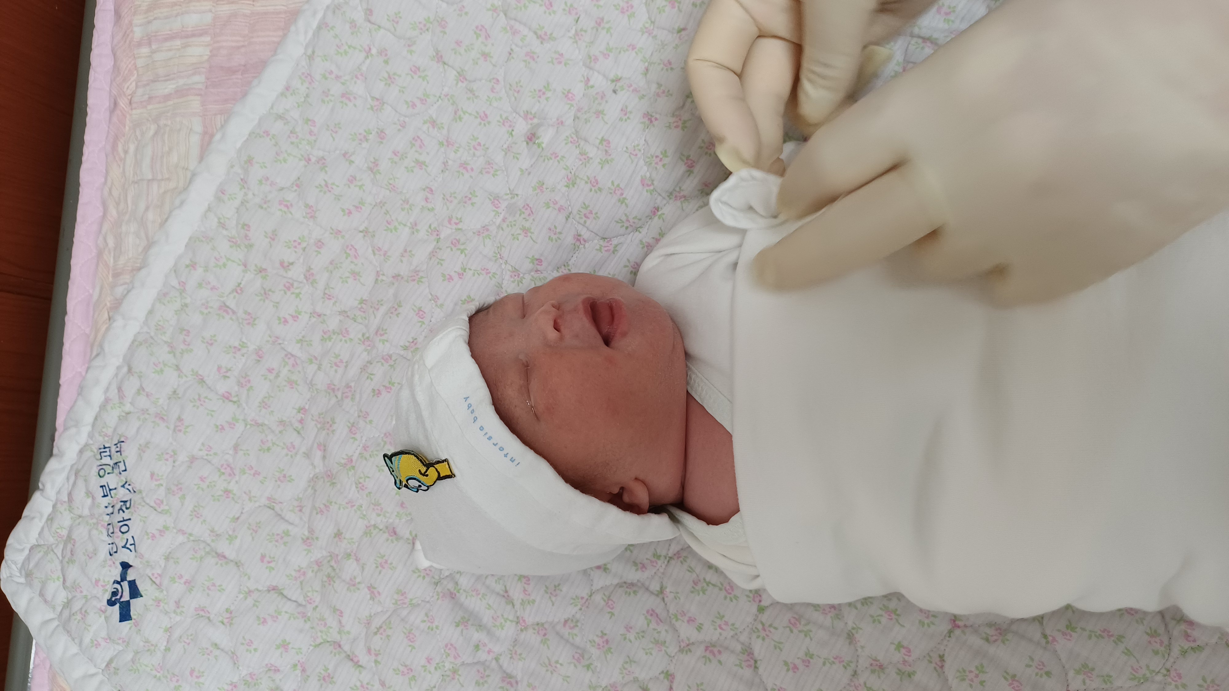 성윤자 장로님 손녀 얻으셨네요🩷🩷🩷