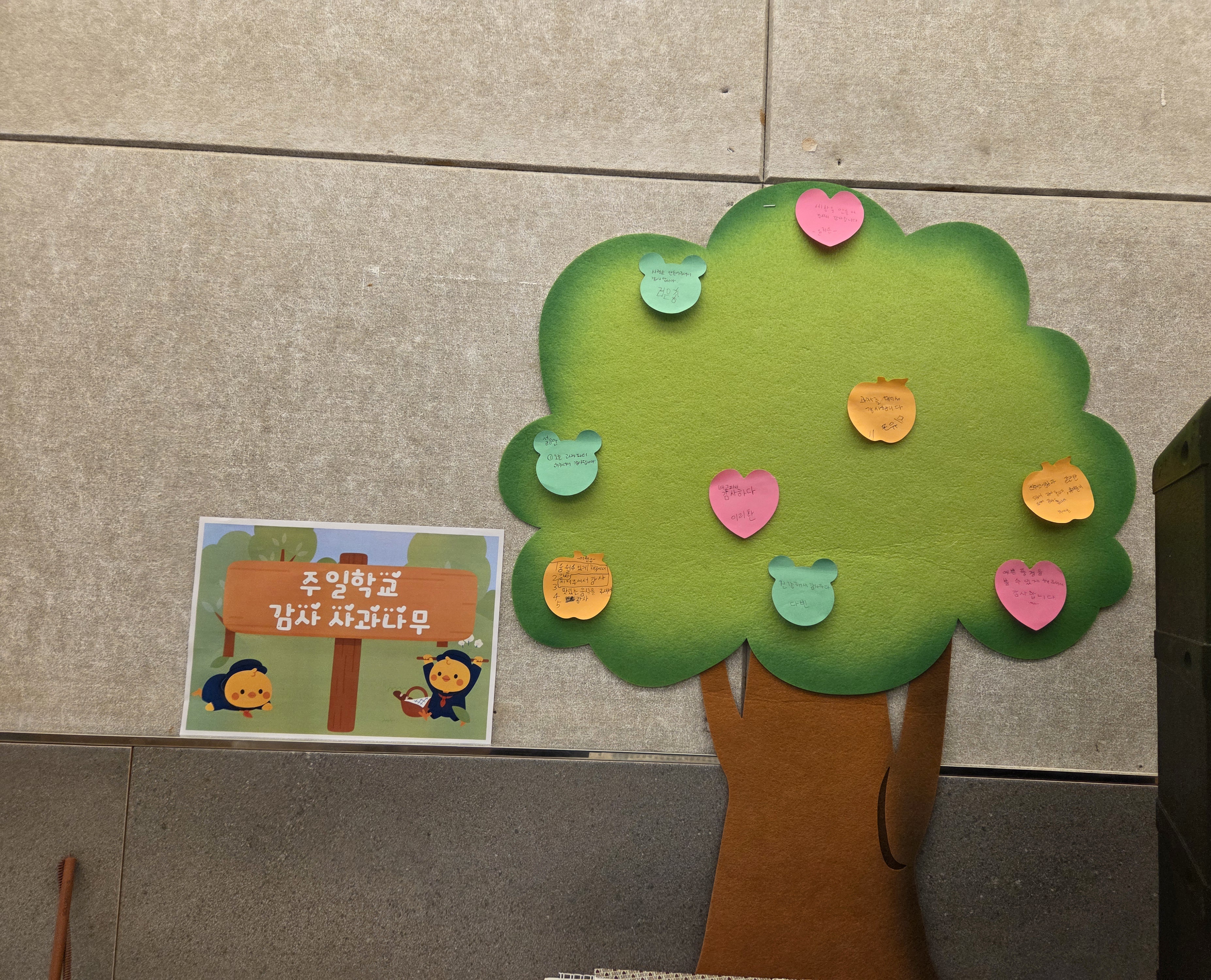 주일학교  감사나무🍎🍅🍒
