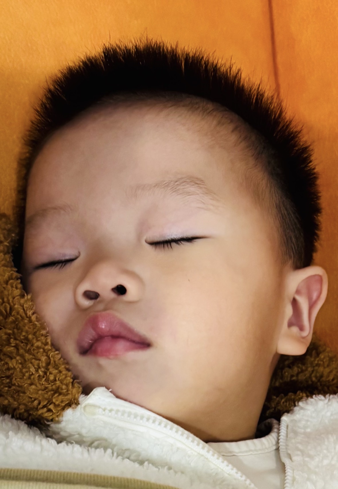 내 조끼😎🐥🐤🐶