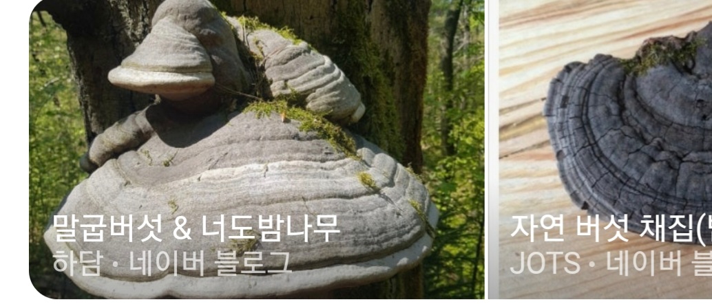 다음글