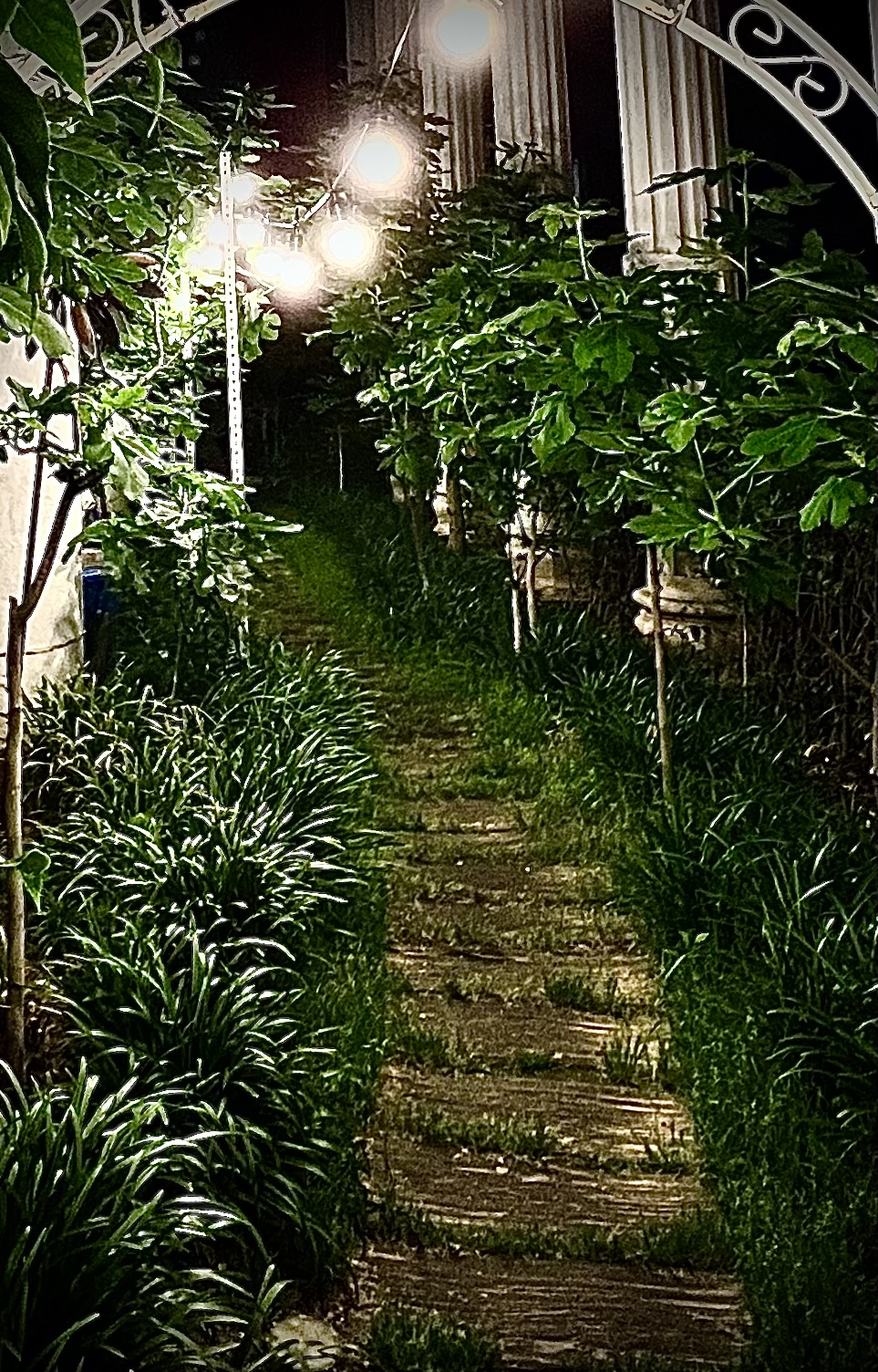 이전글