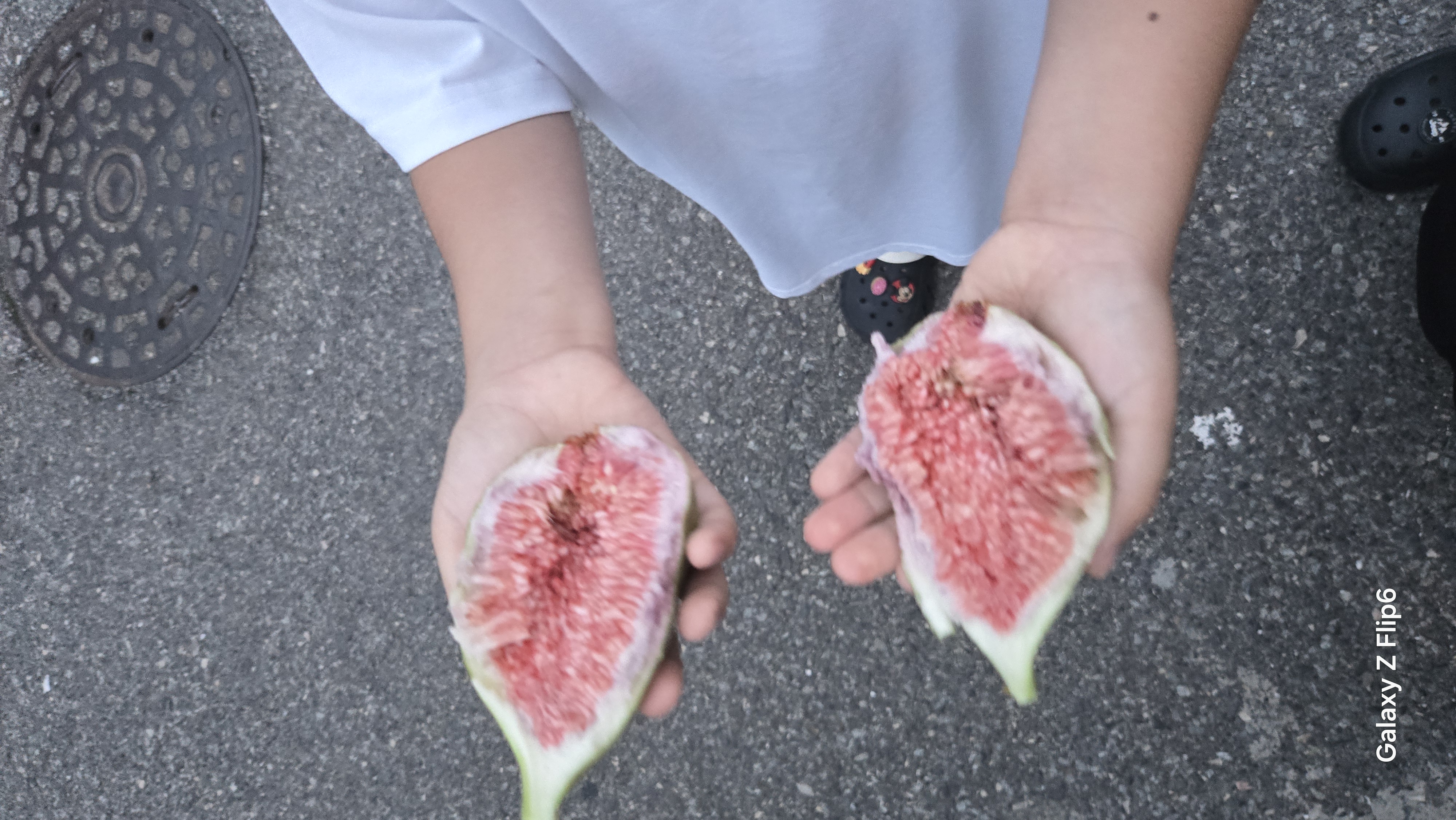 갤러리 이미지