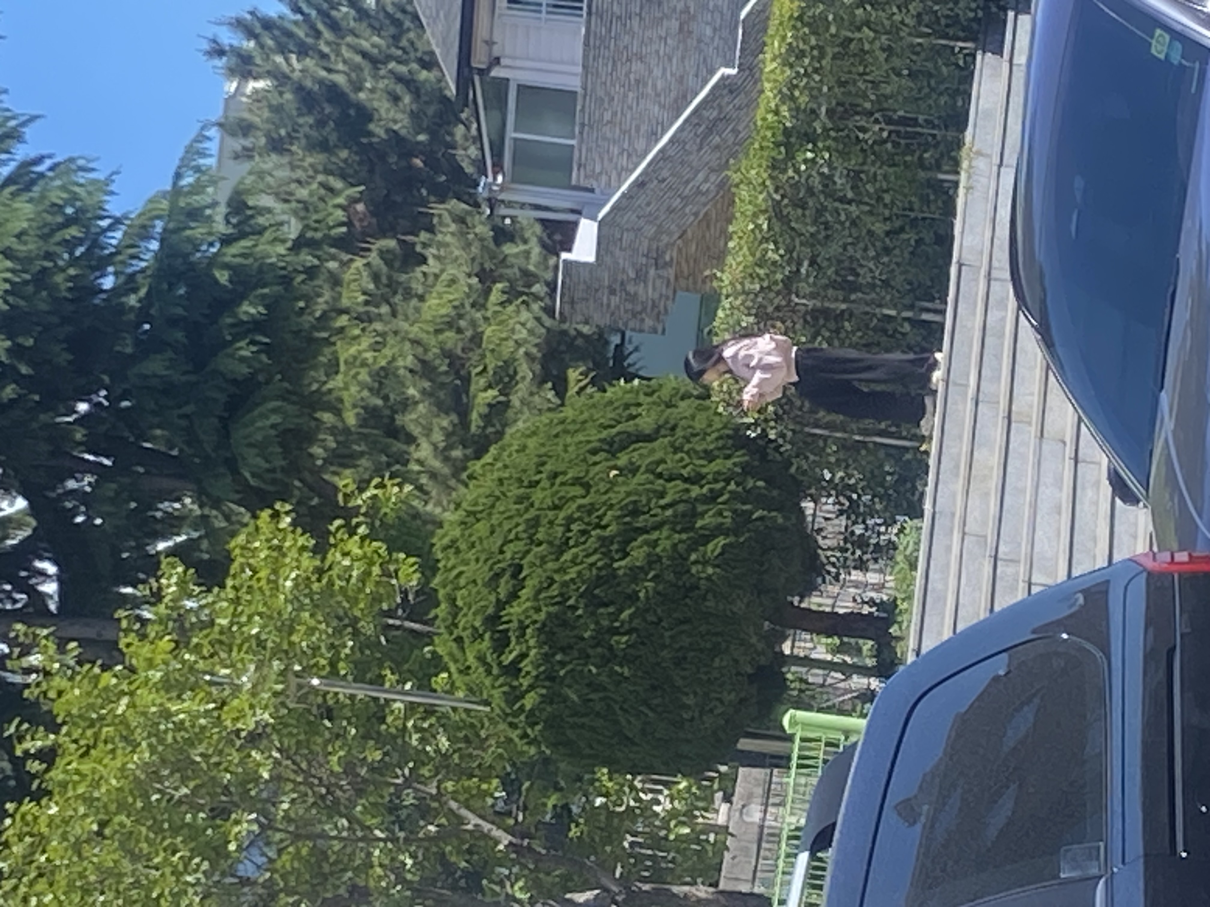 갤러리 이미지