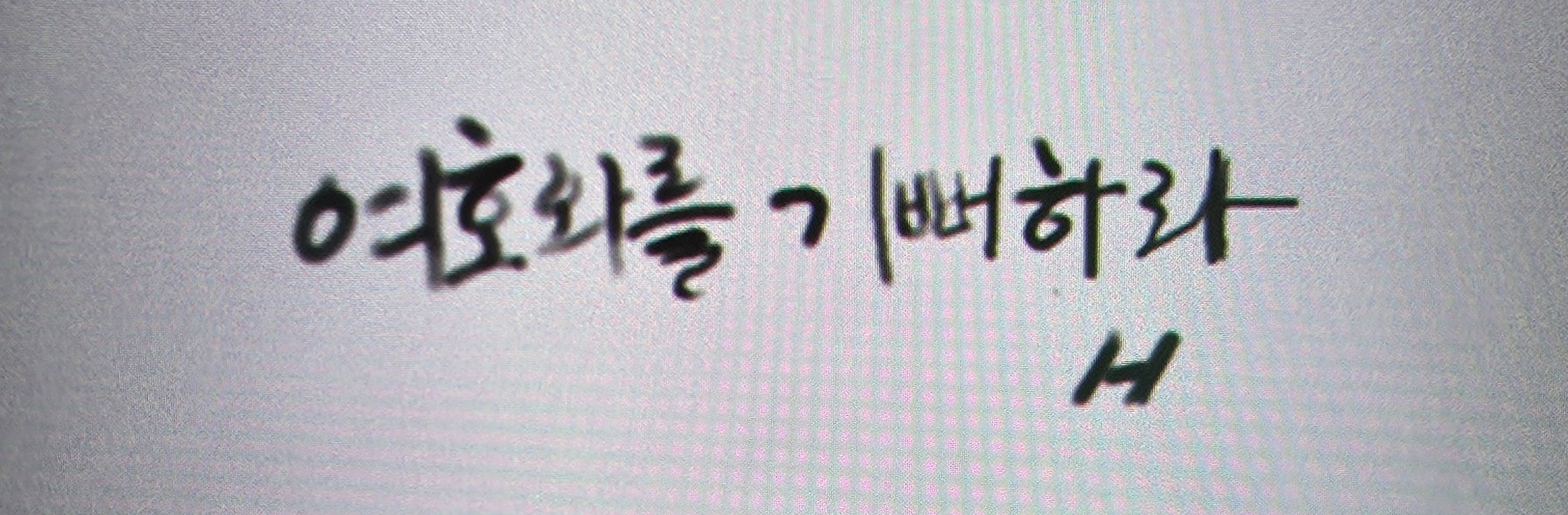 갤러리 이미지