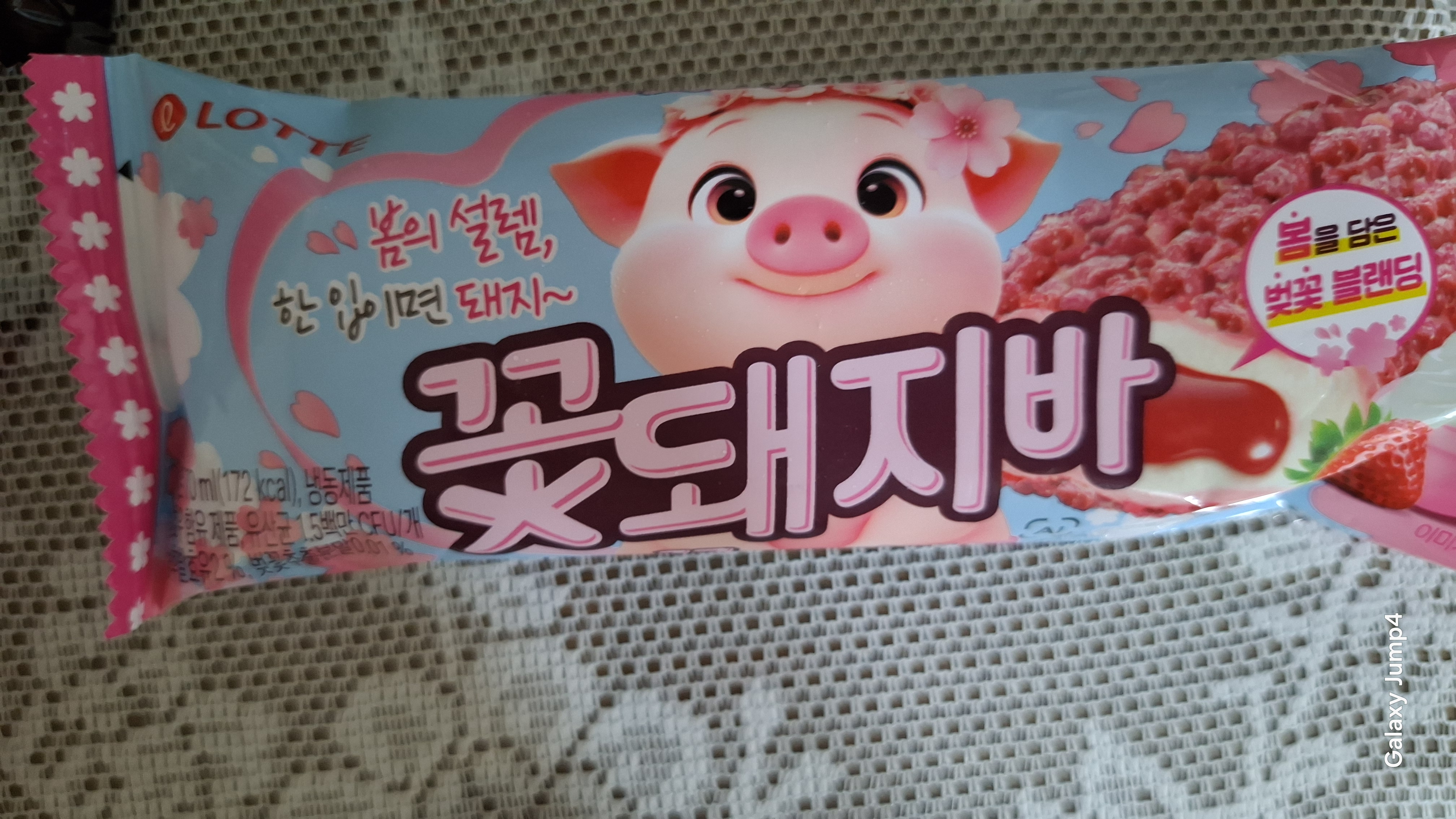 갤러리 이미지