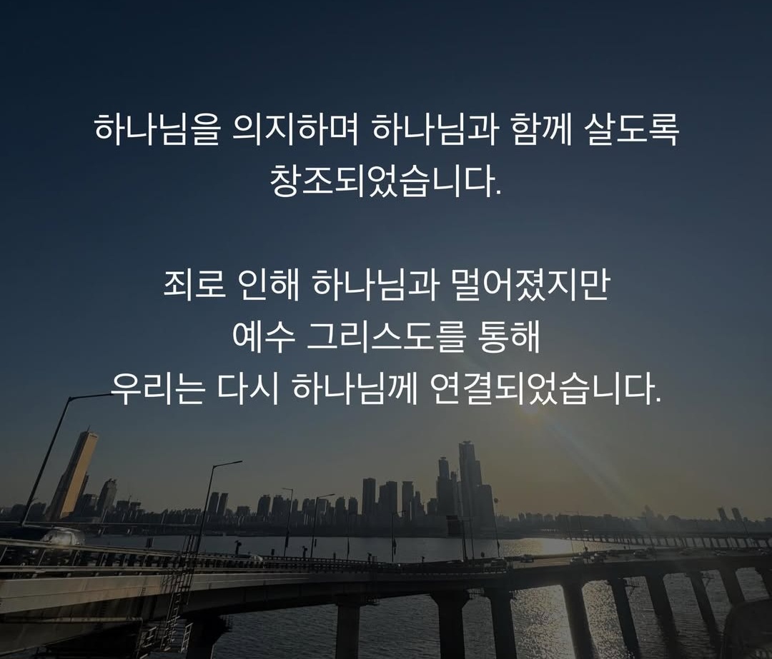 갤러리 이미지