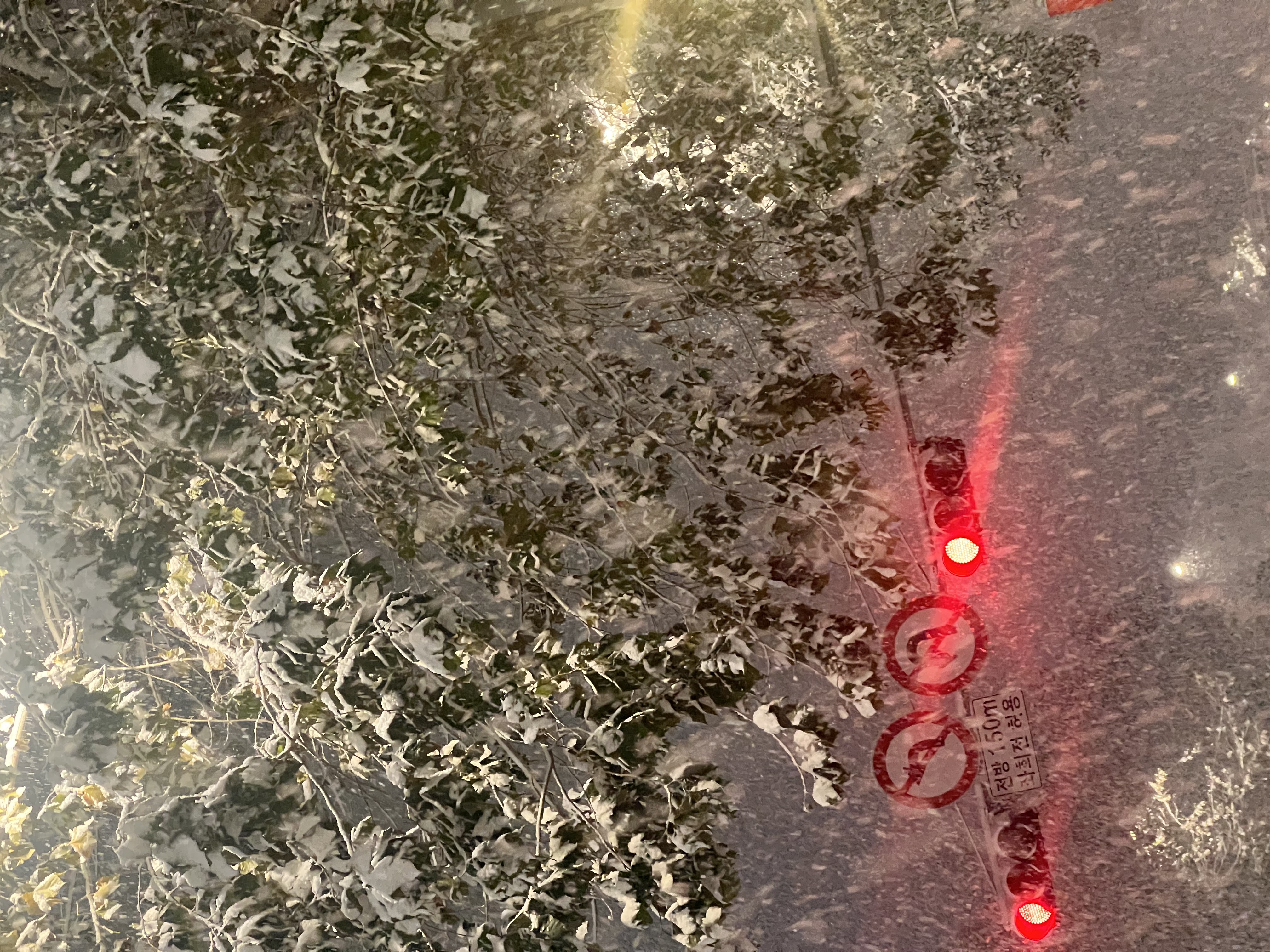 집에서 볼 땐 아름다웠는디