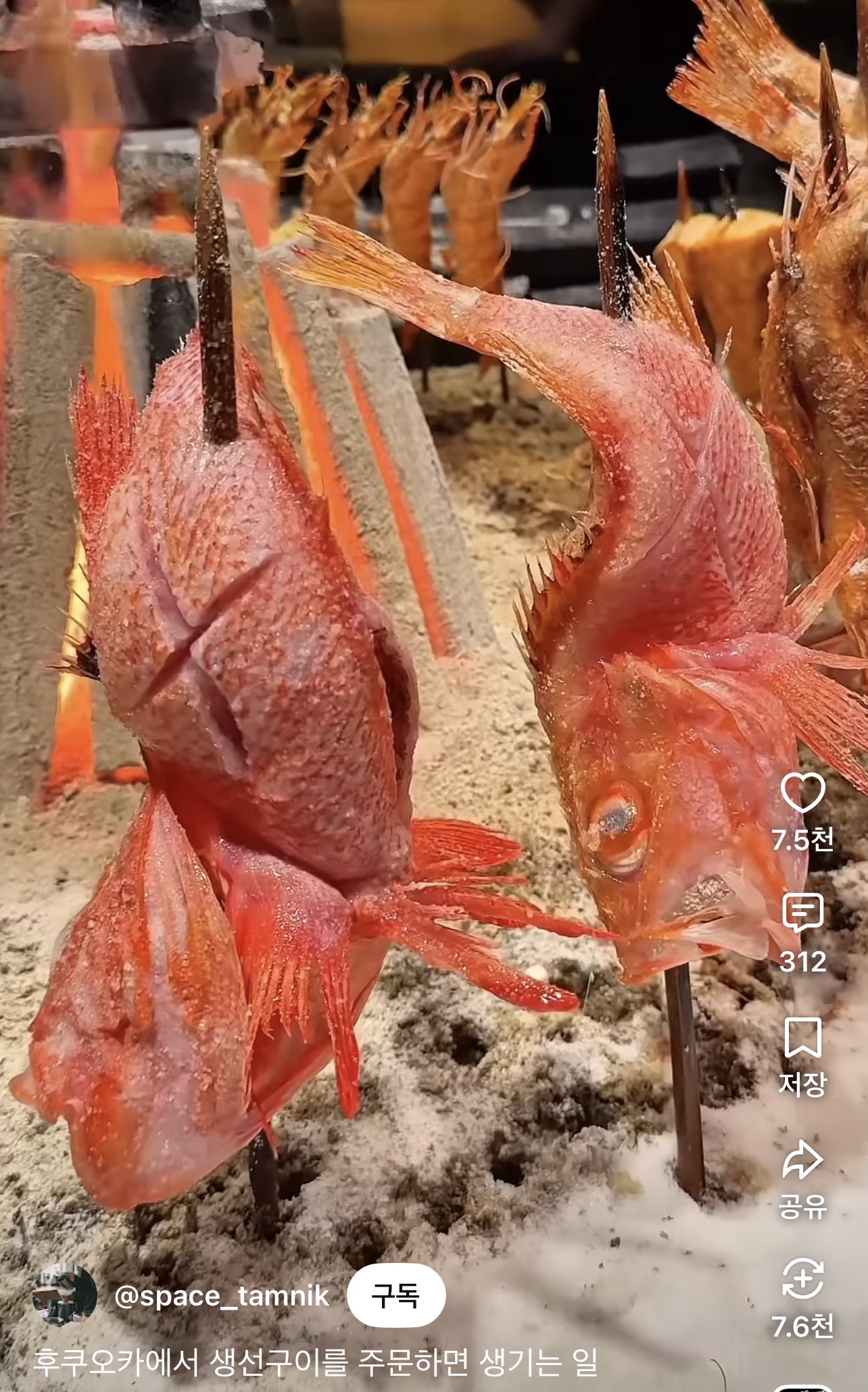 이미지8