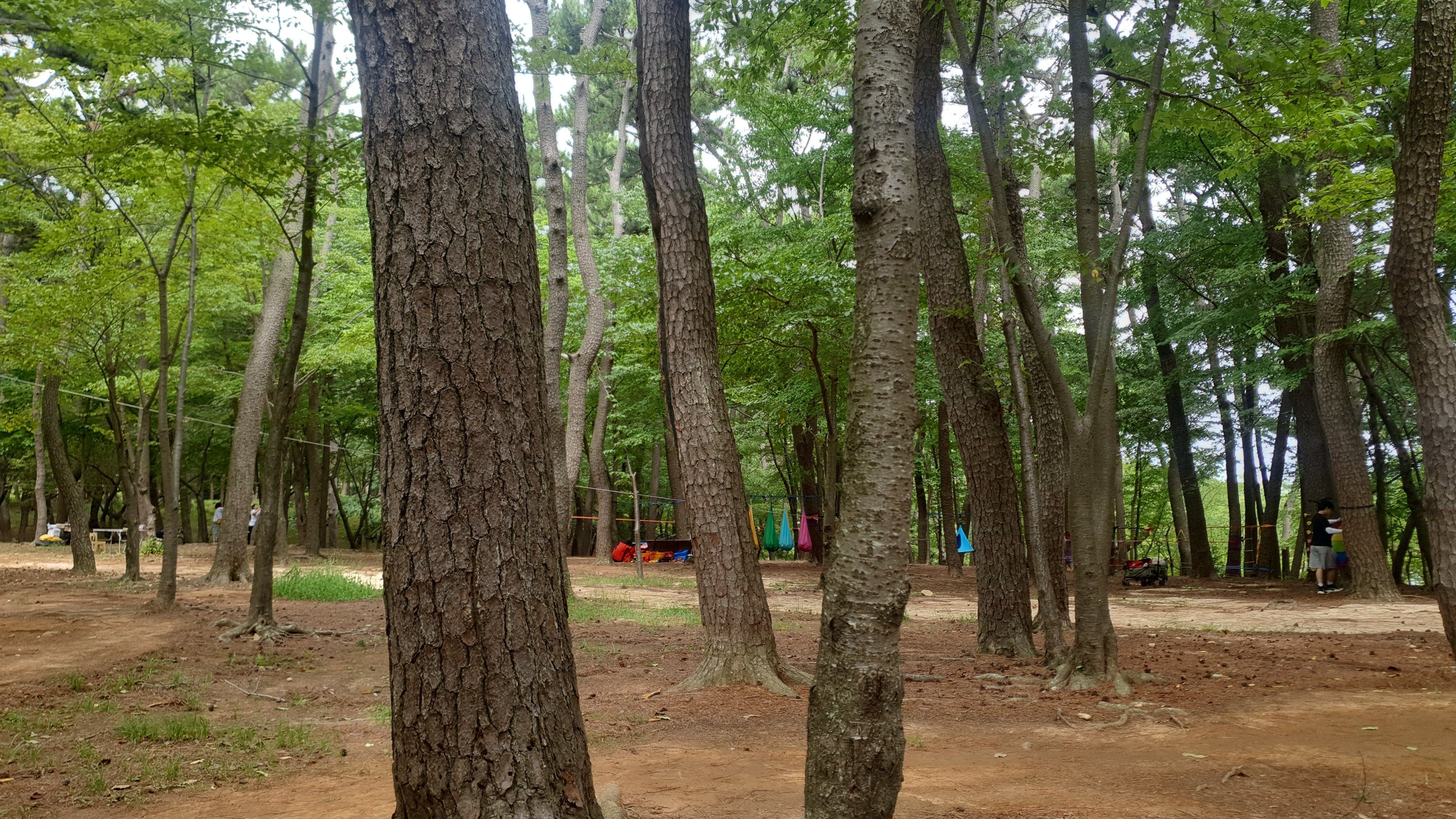 이전글
