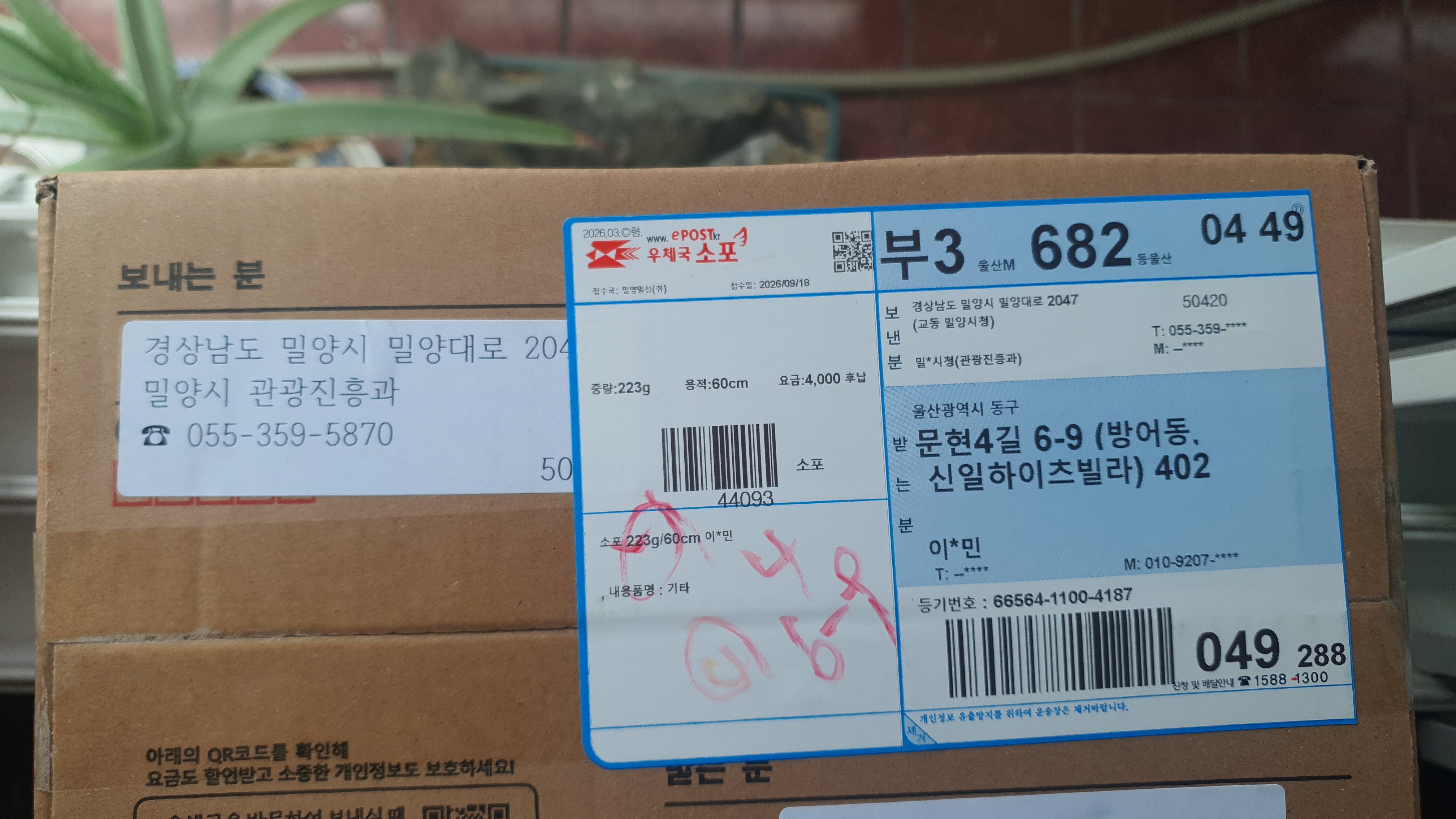 갤러리 이미지