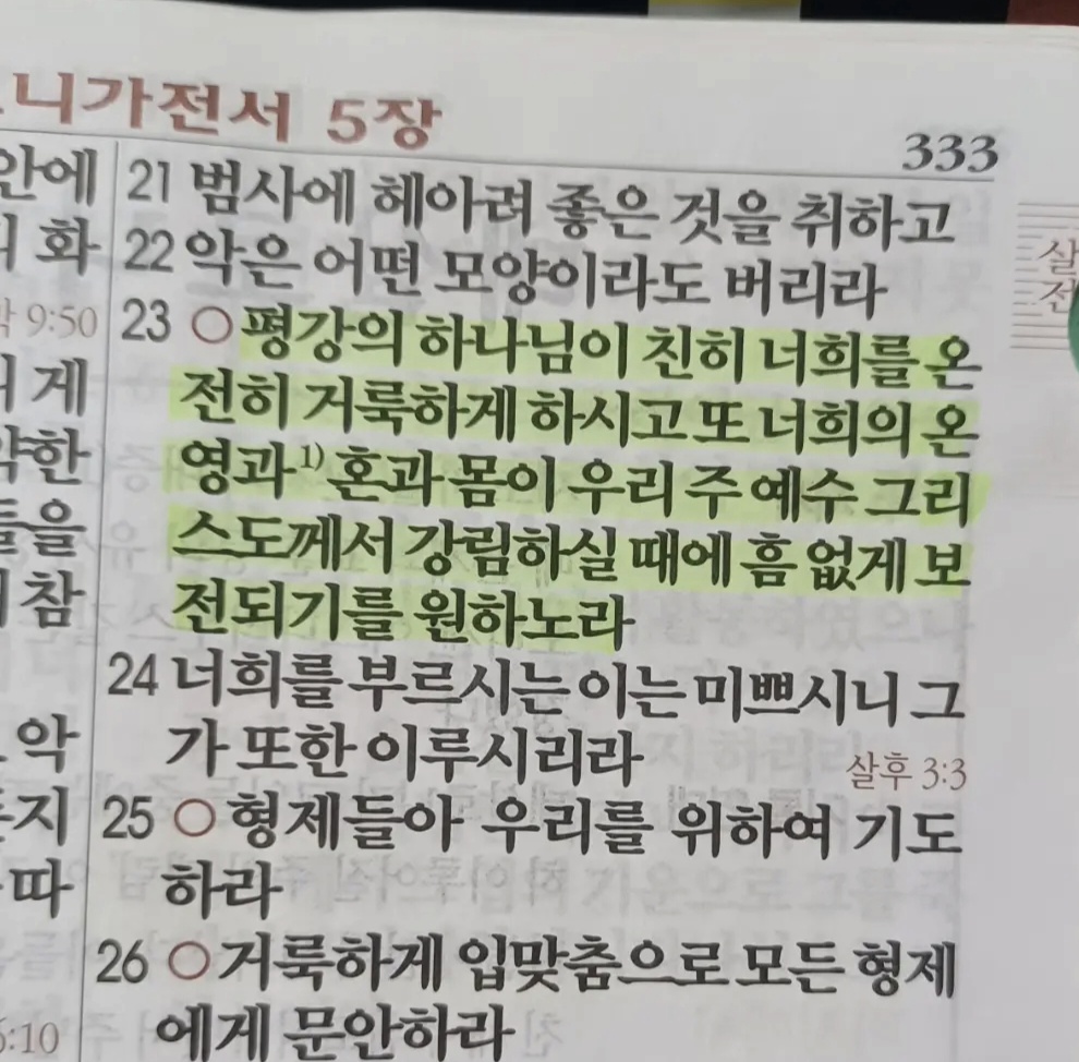 갤러리 이미지