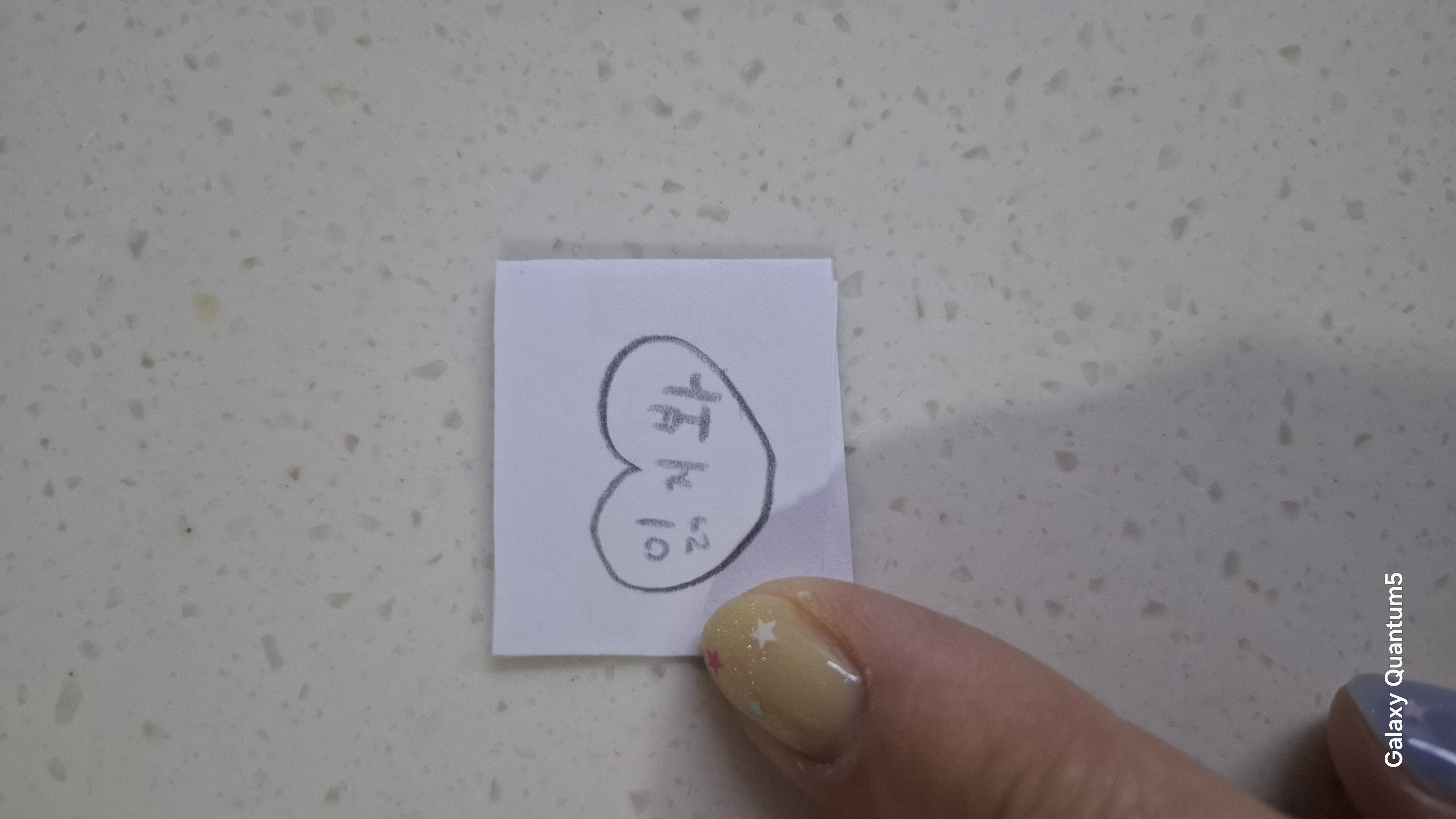 갤러리 이미지
