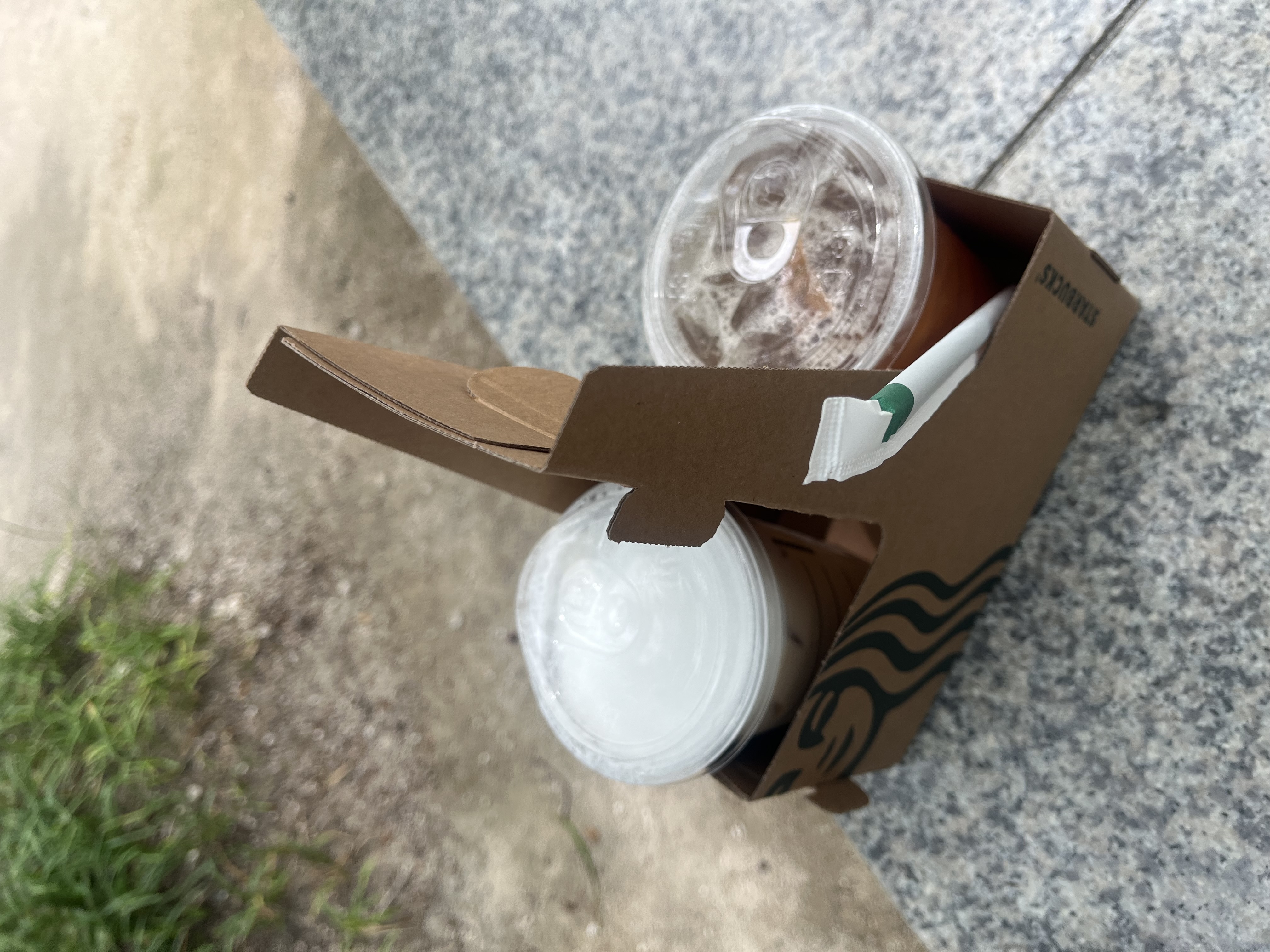 갤러리 이미지
