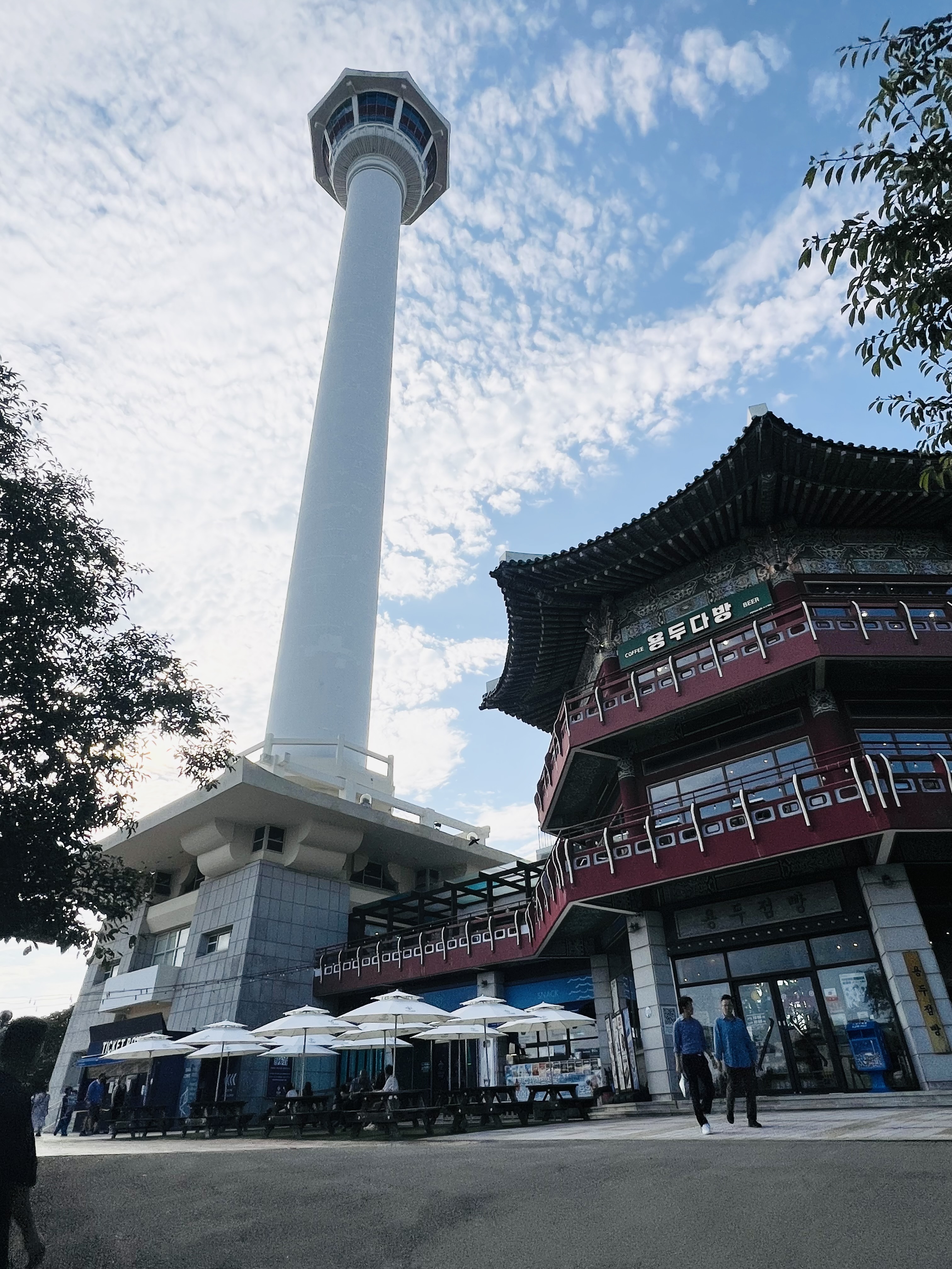 이미지7