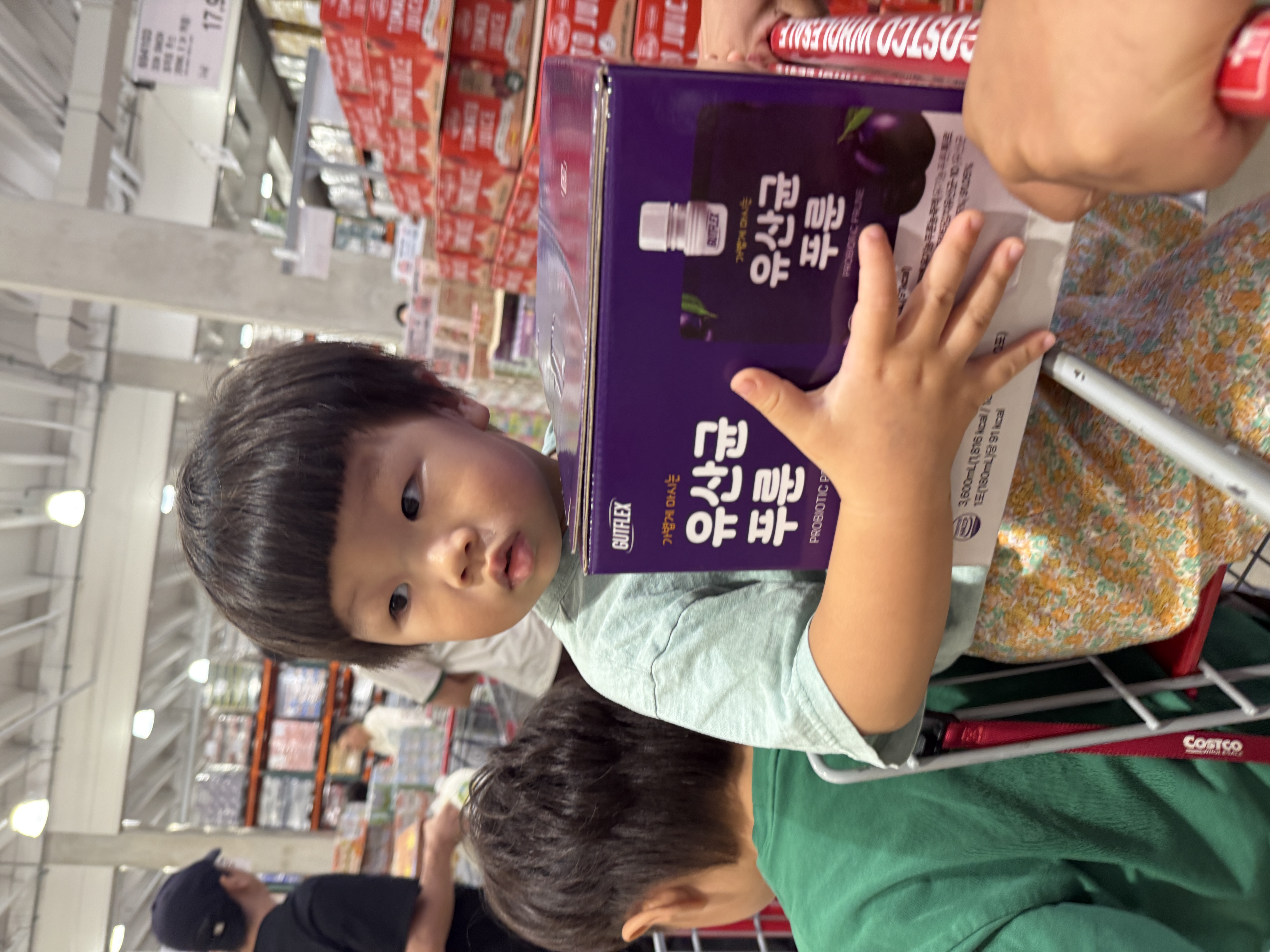갤러리 이미지