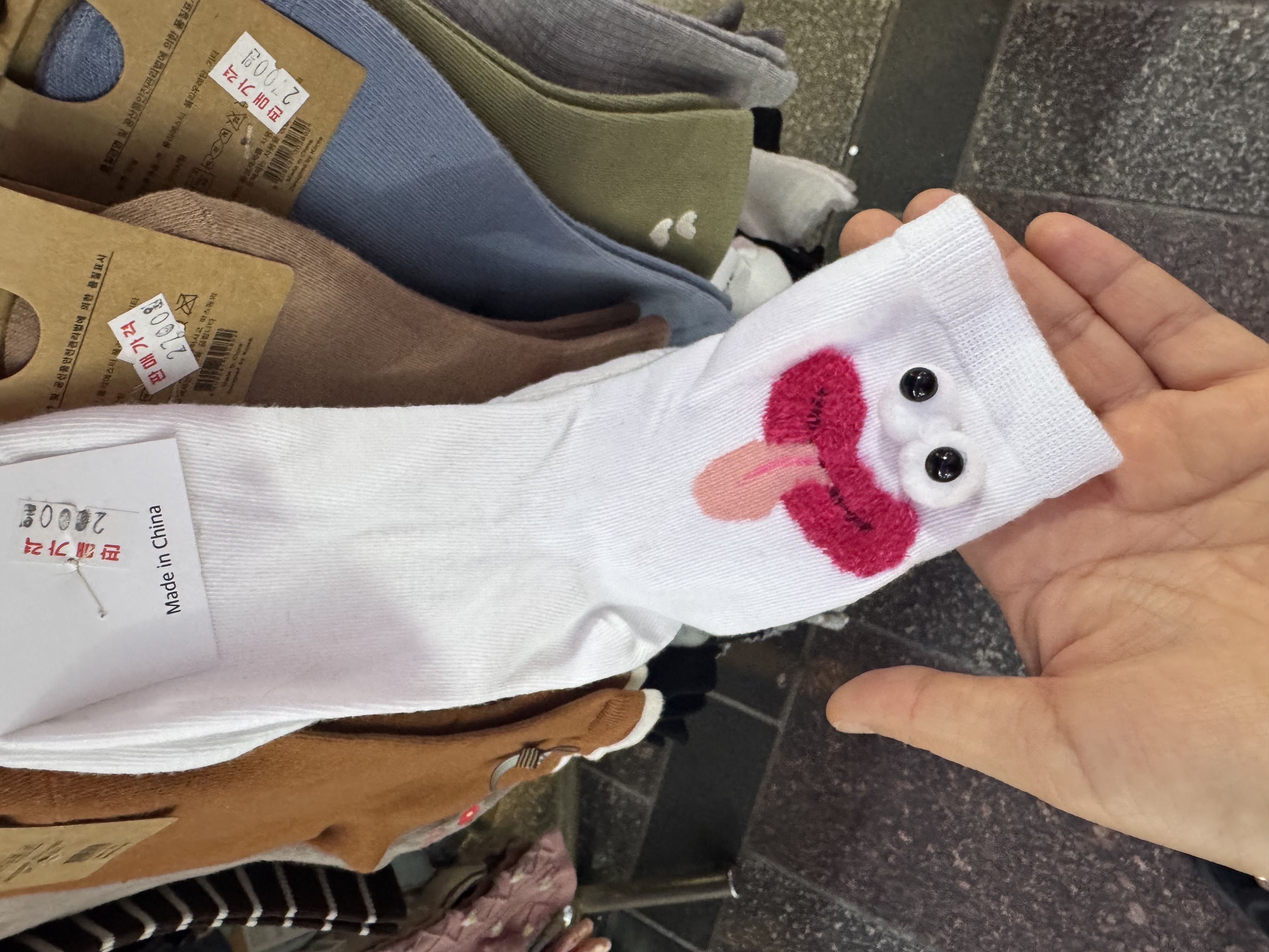 갤러리 이미지