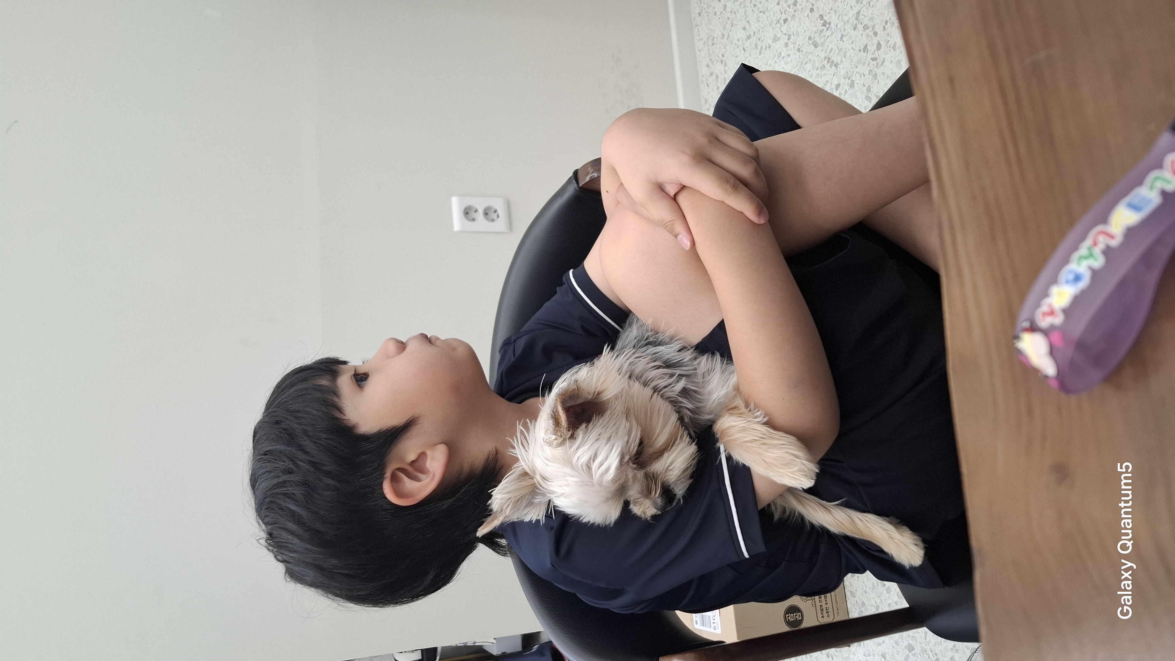 이전글