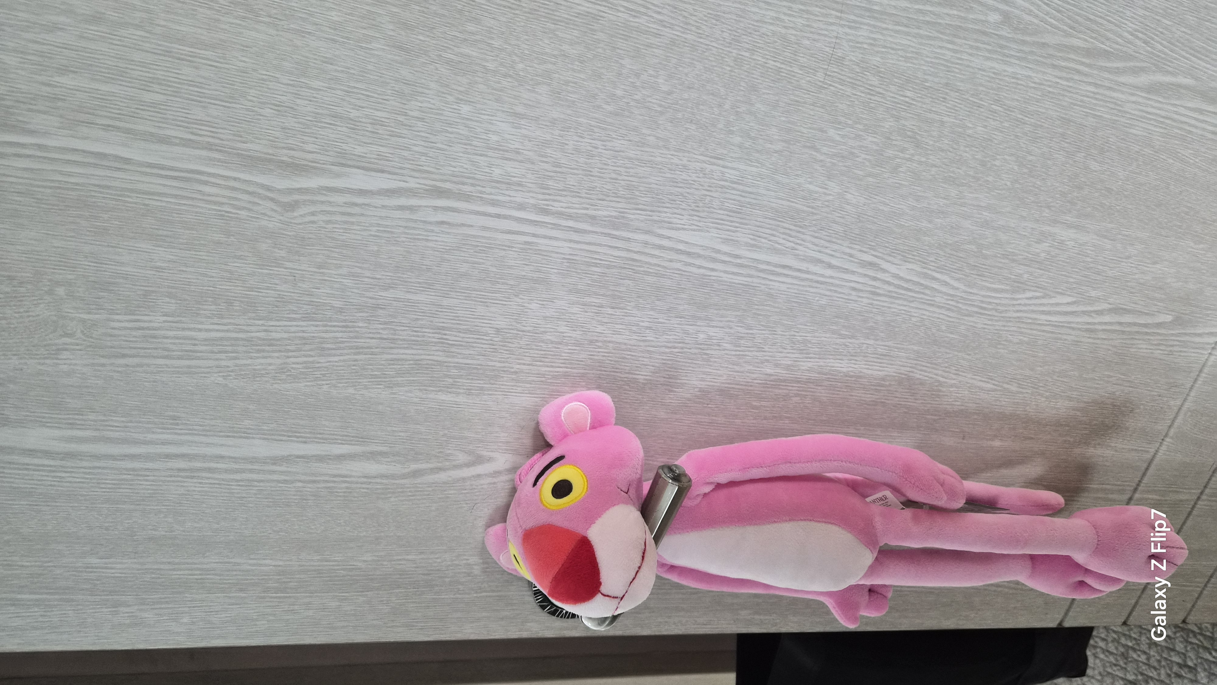 갤러리 이미지