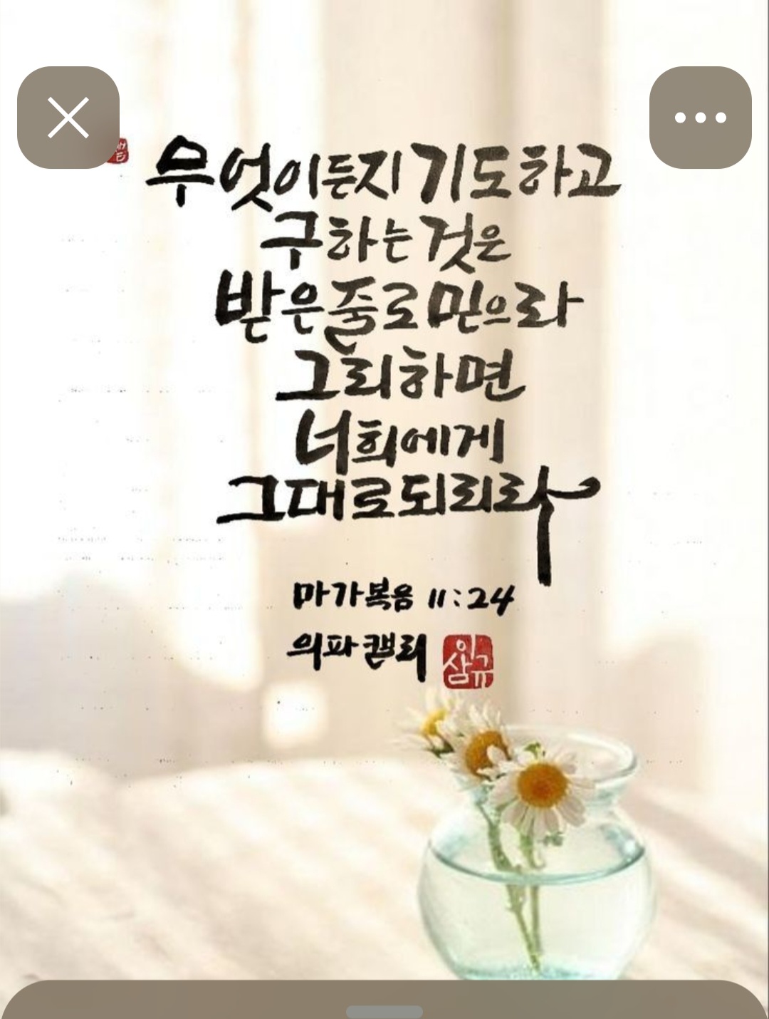 갤러리 이미지