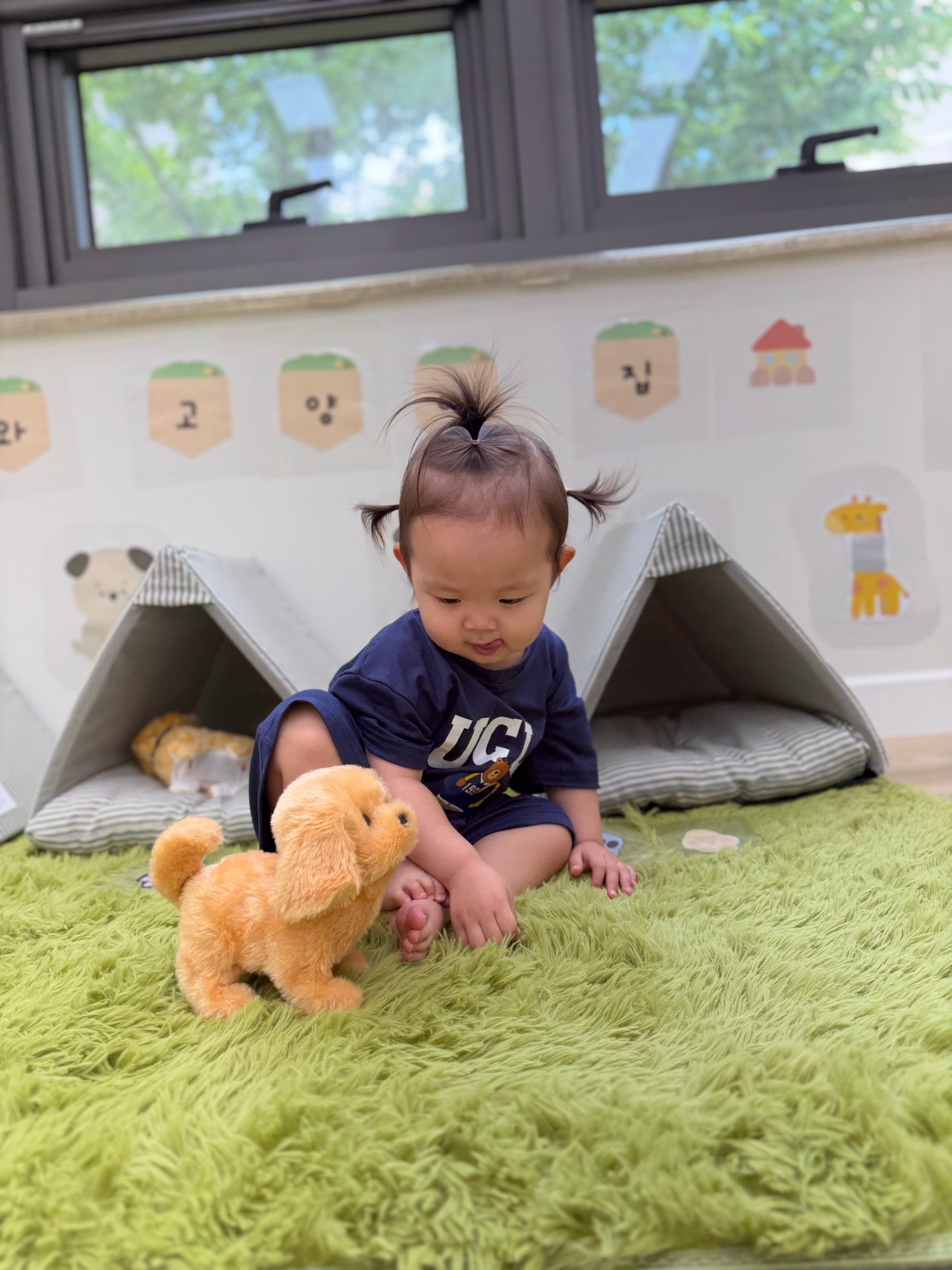 갤러리 이미지