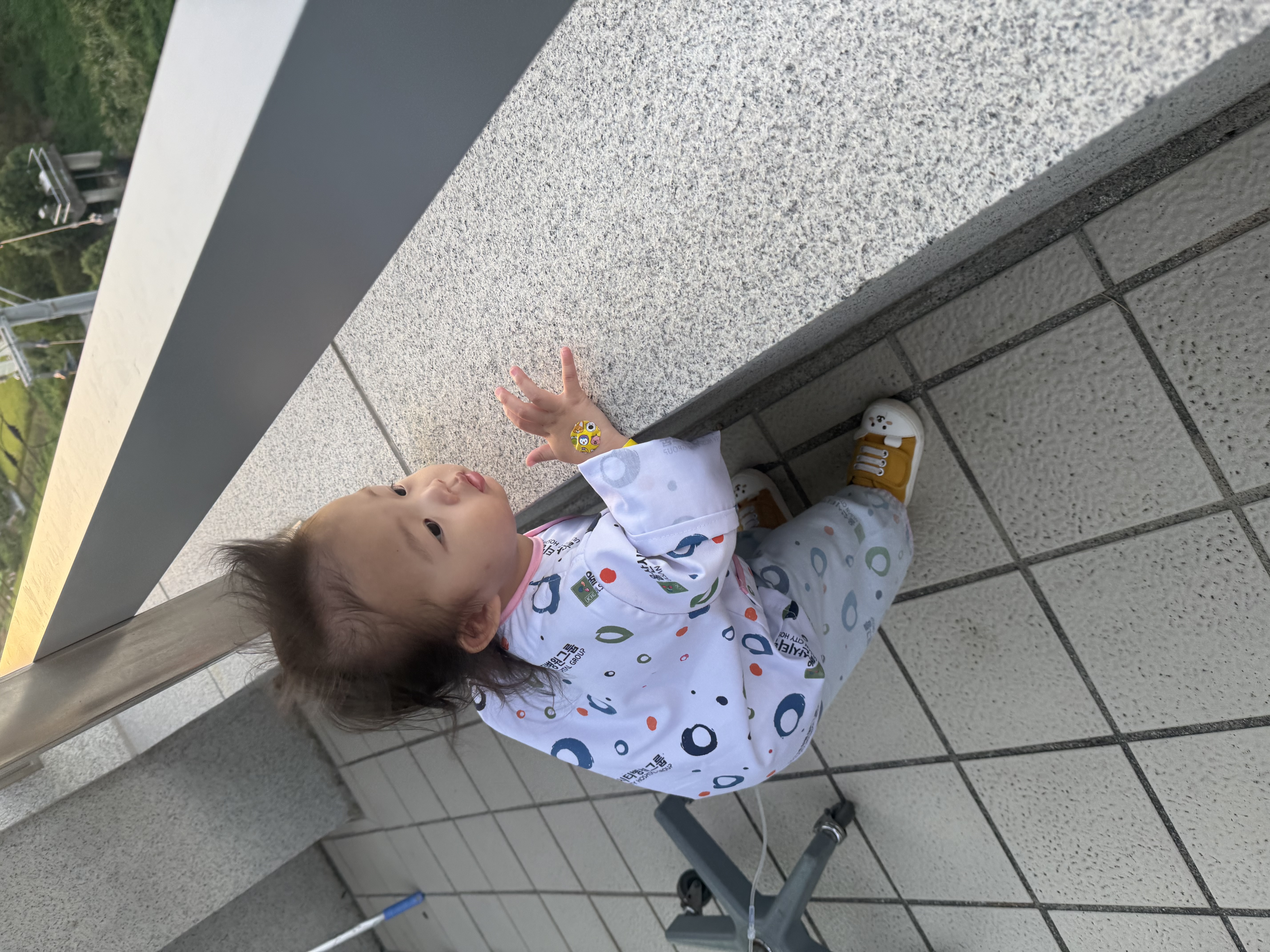 갤러리 이미지