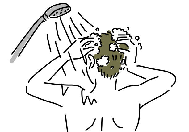 갤러리 이미지