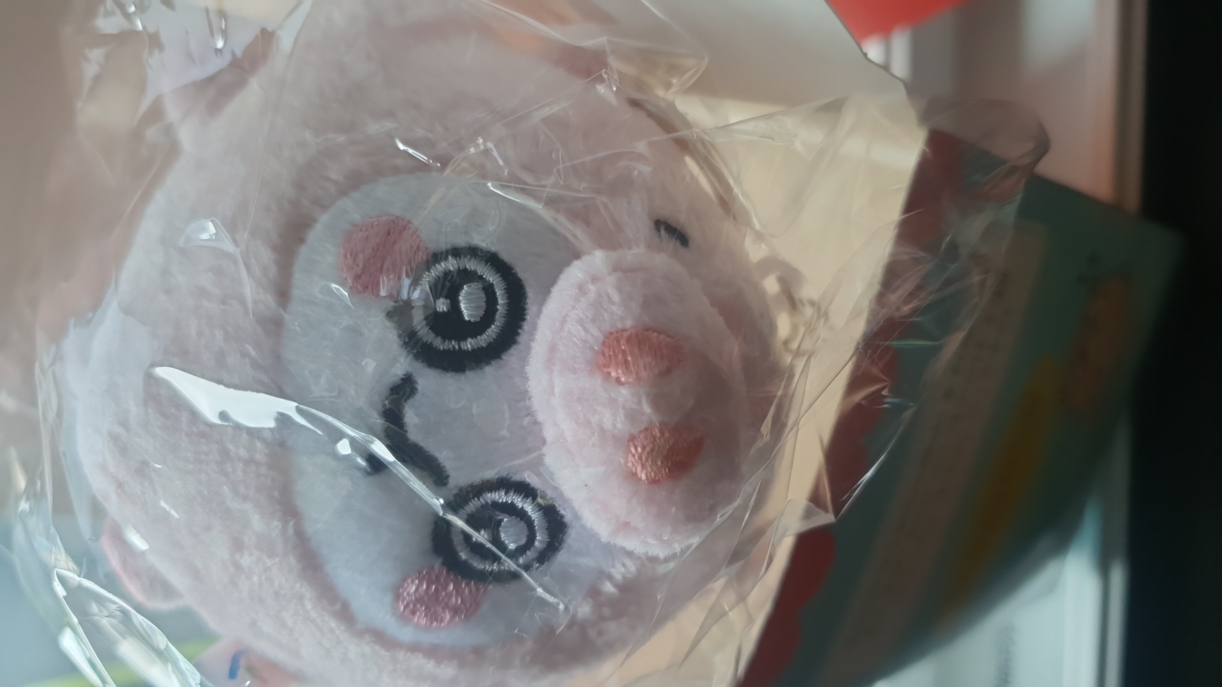 갤러리 이미지