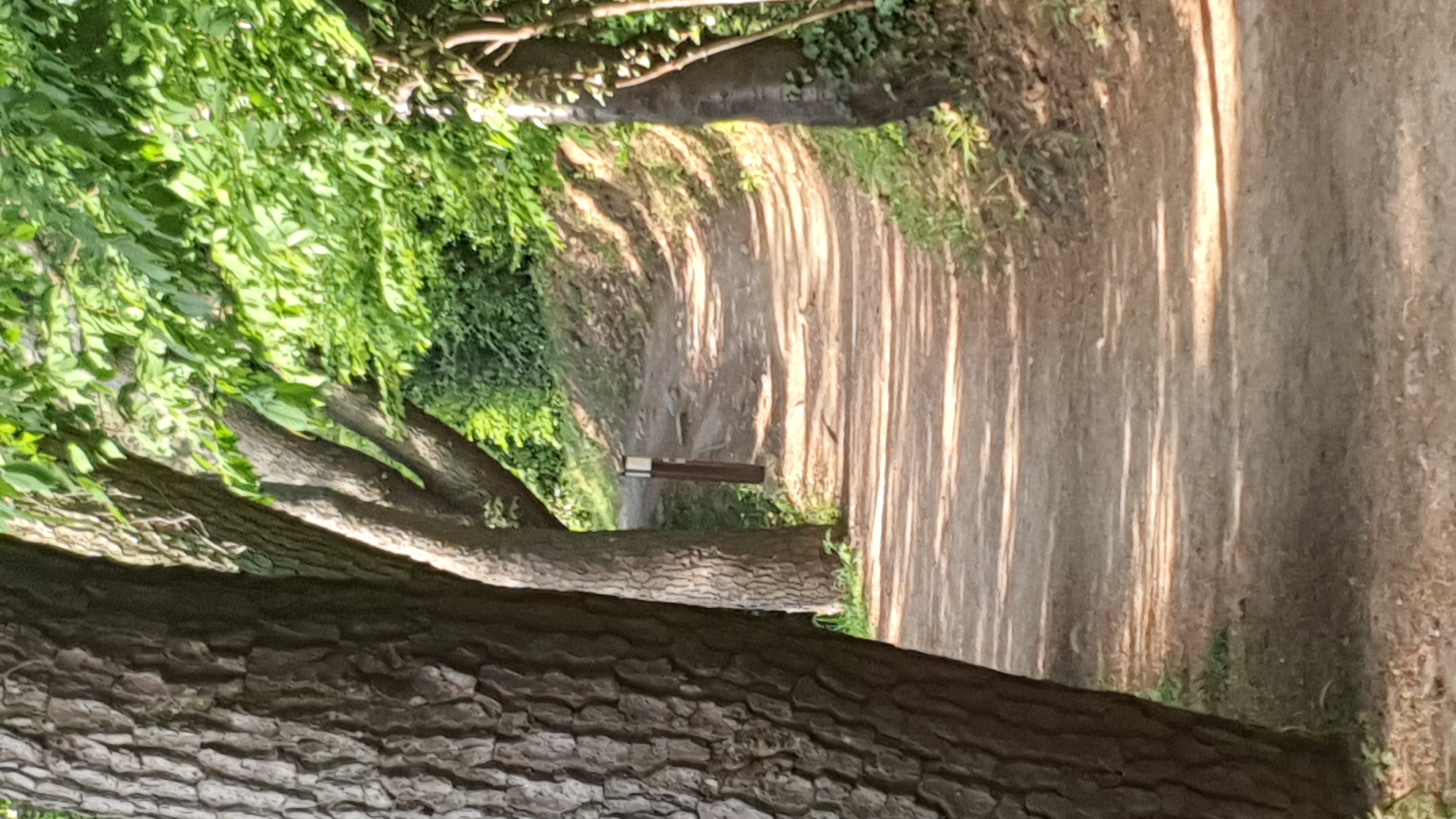 갤러리 이미지