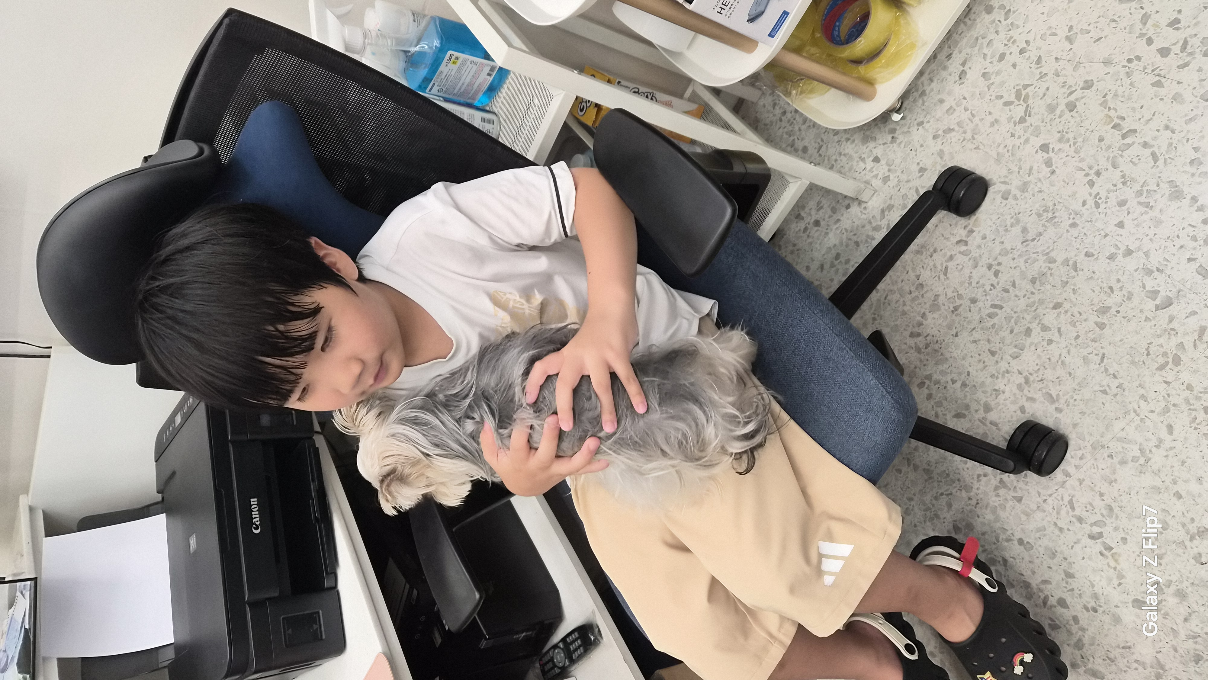 갤러리 이미지