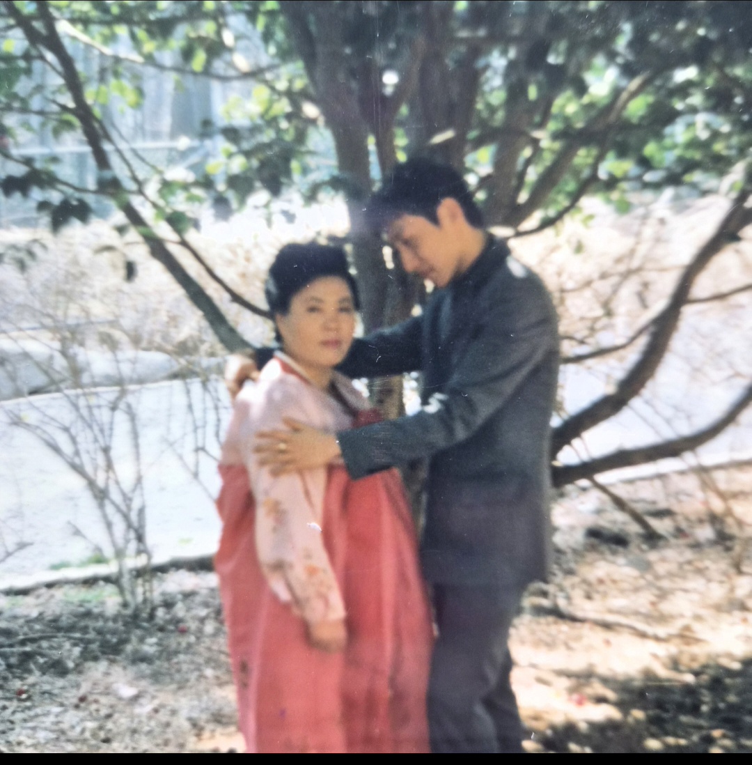 갤러리 이미지