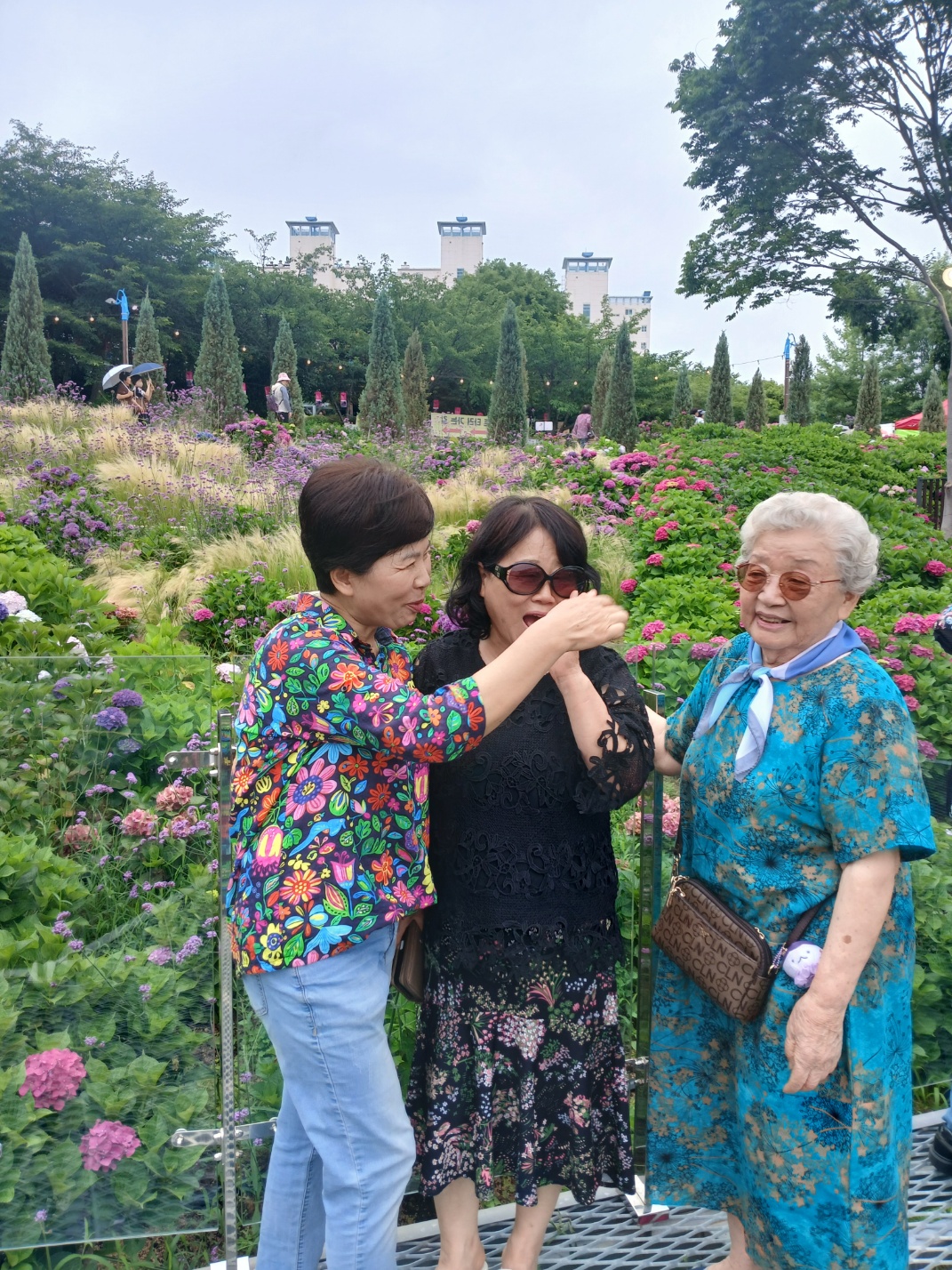 갤러리 이미지