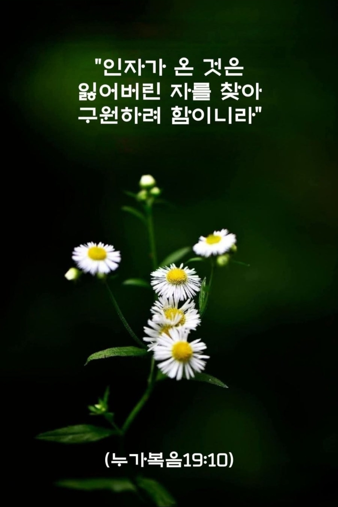 갤러리 이미지