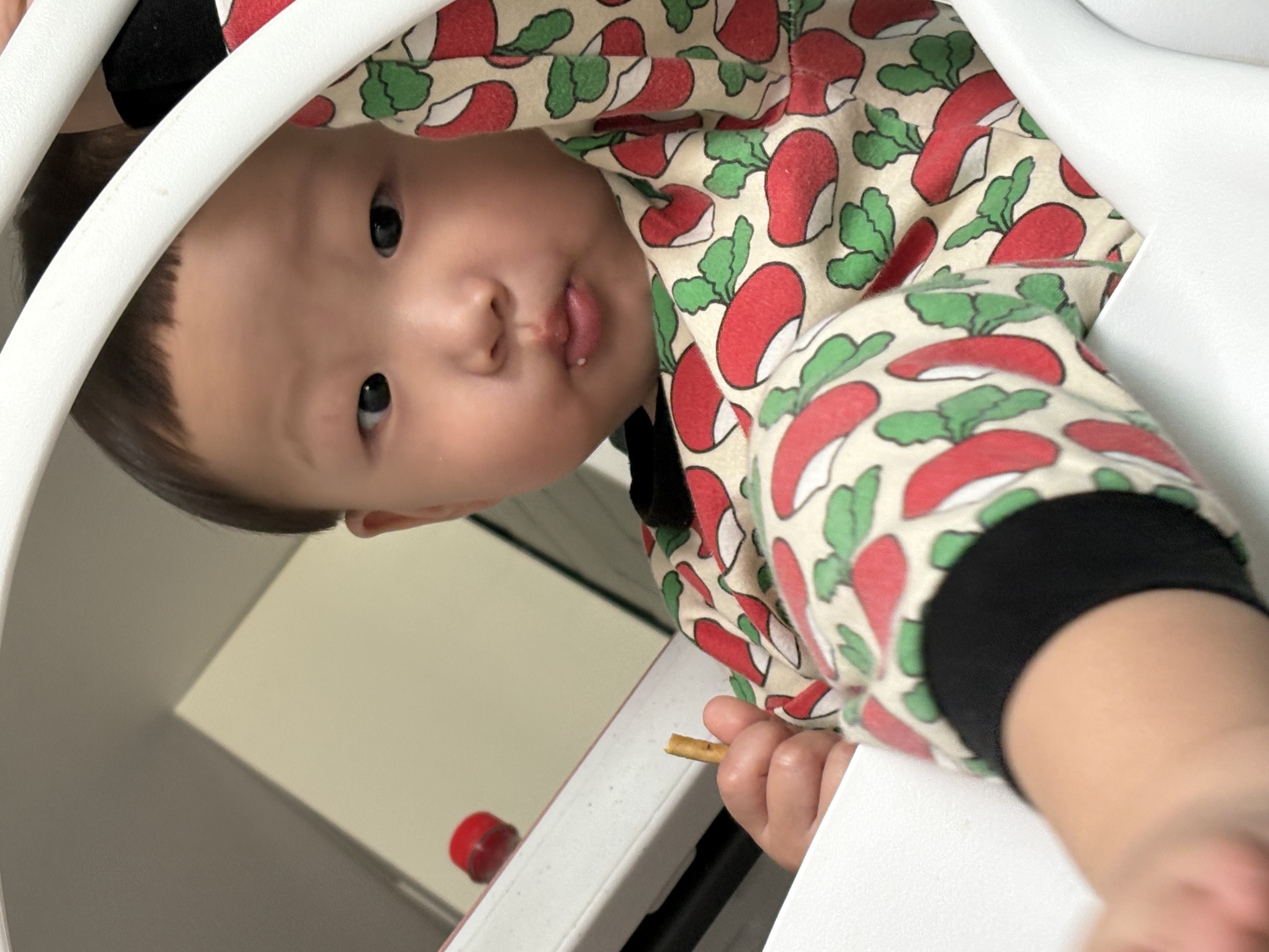 이전글