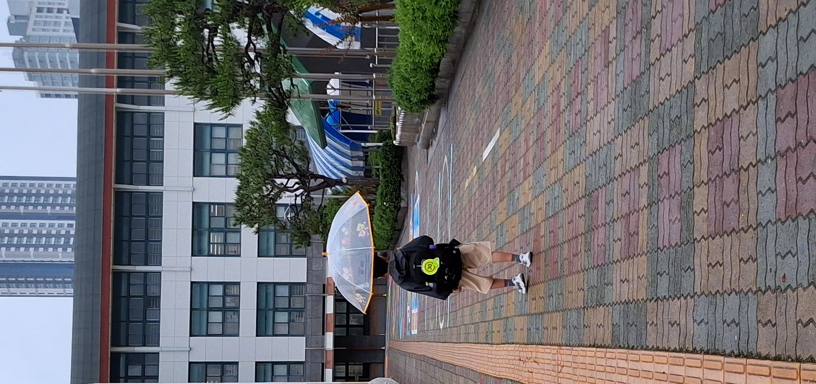 갤러리 이미지