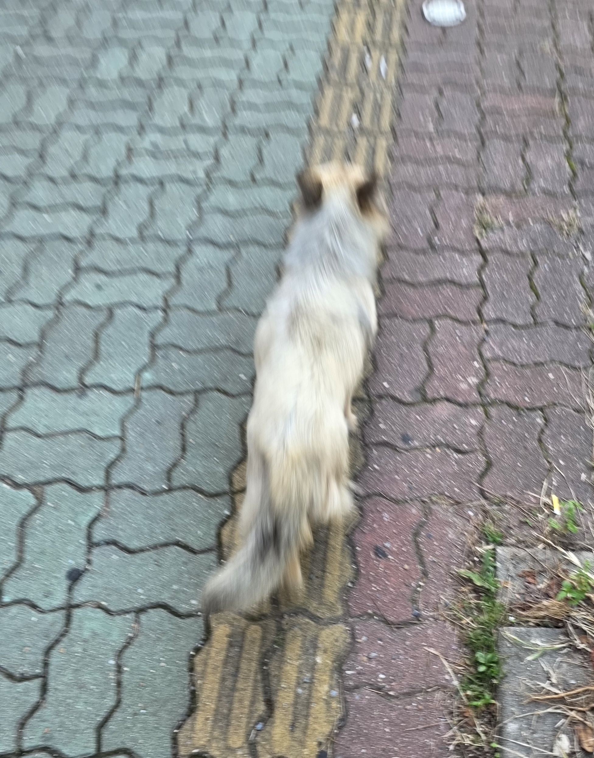 이미지2
