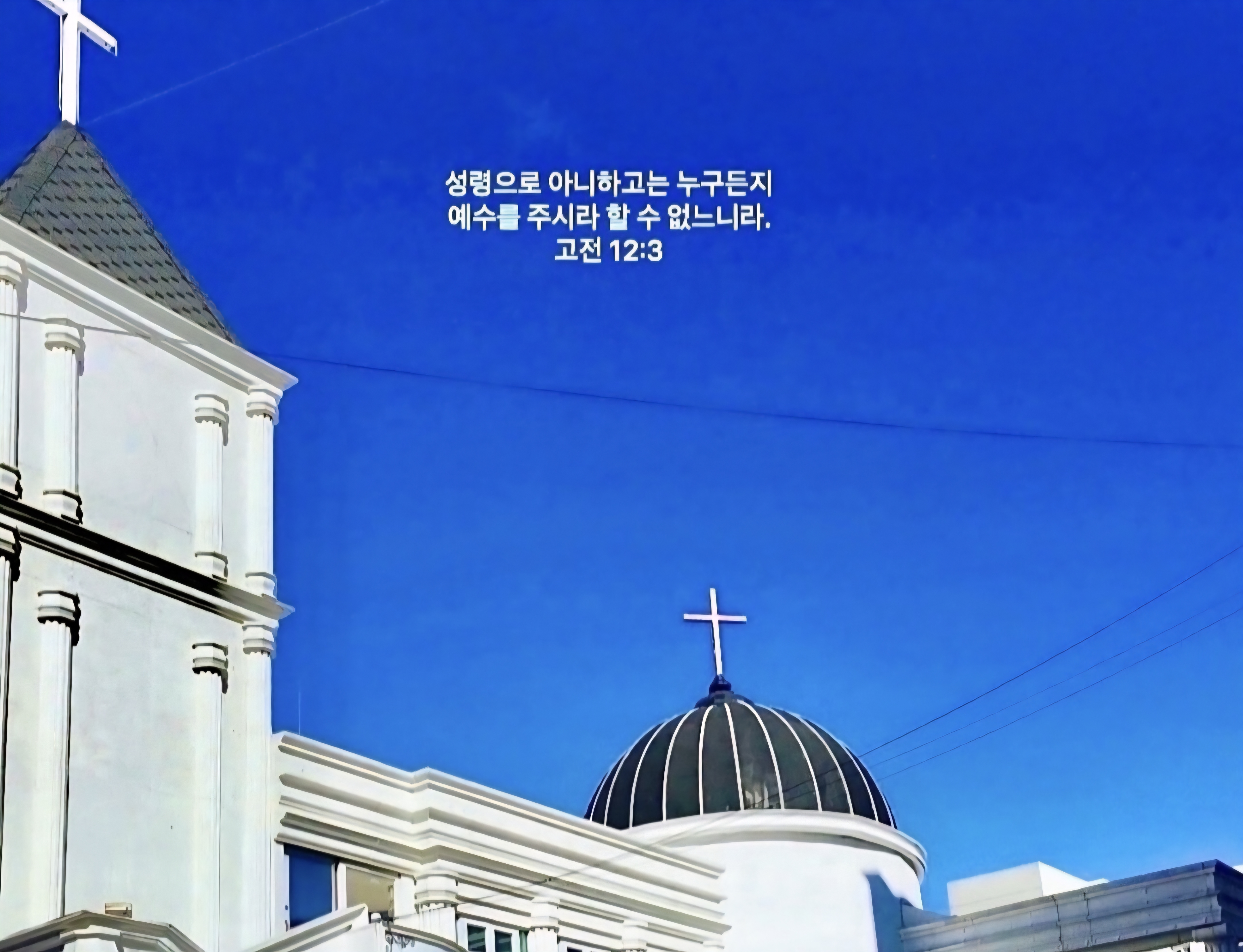 갤러리 이미지