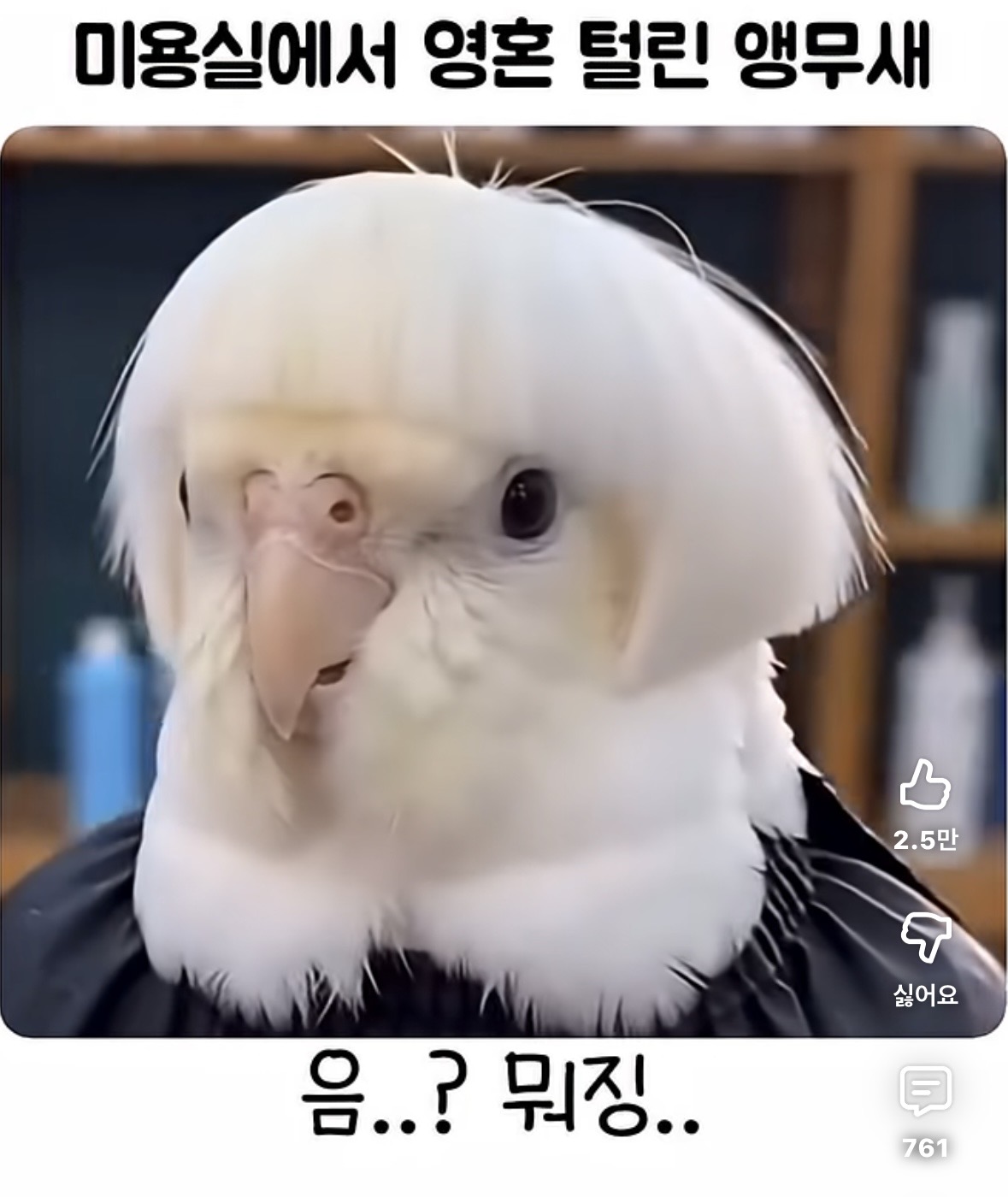 갤러리 이미지