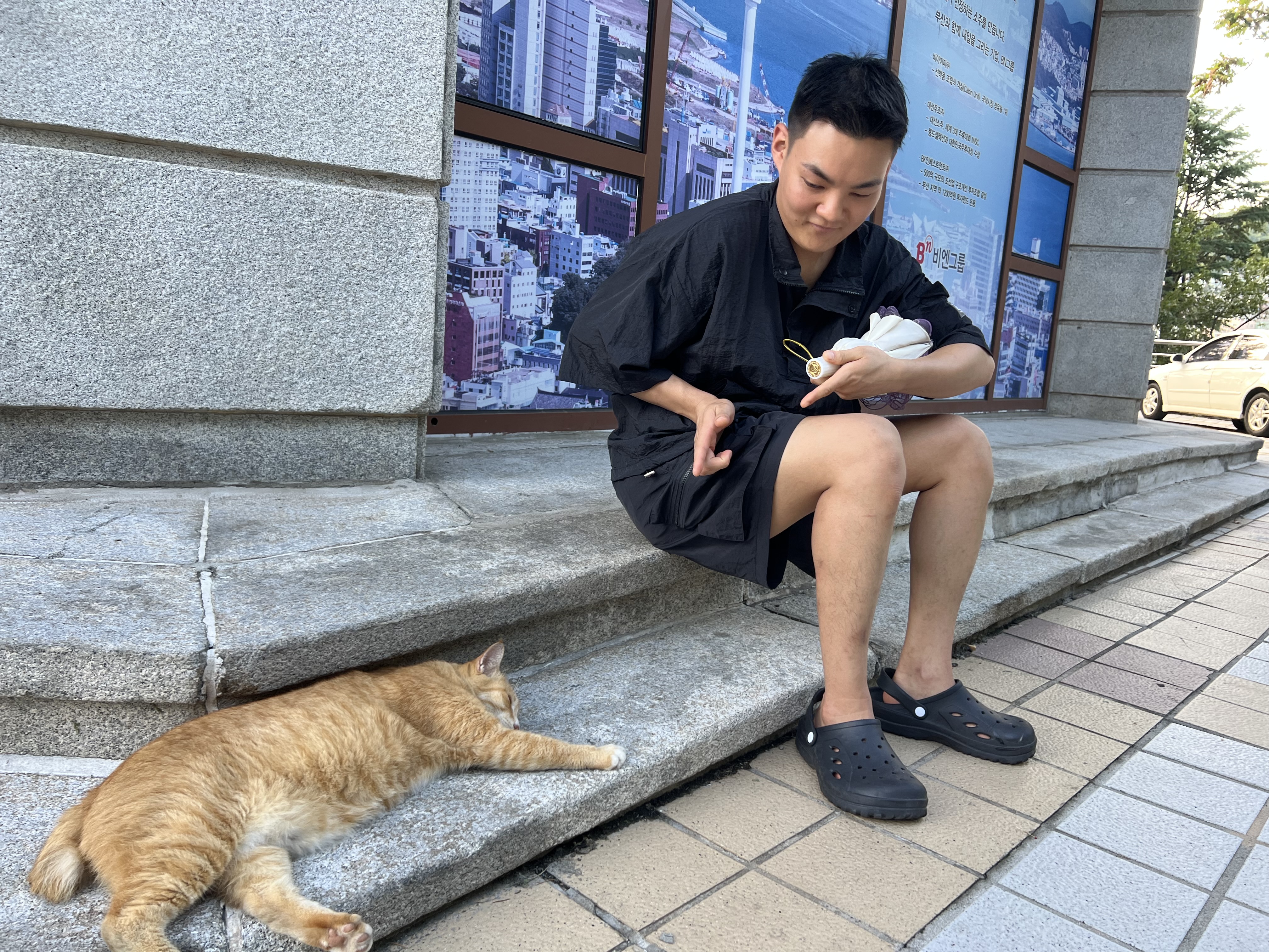 이미지8
