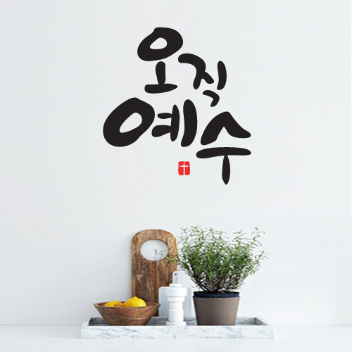 갤러리 이미지