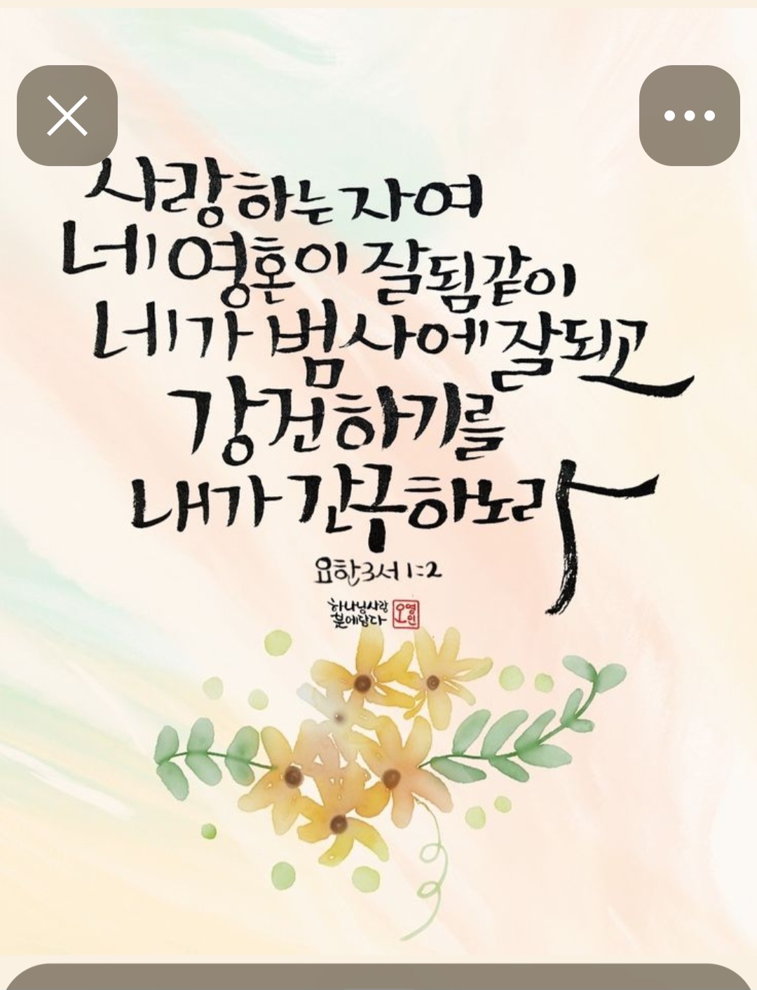 갤러리 이미지