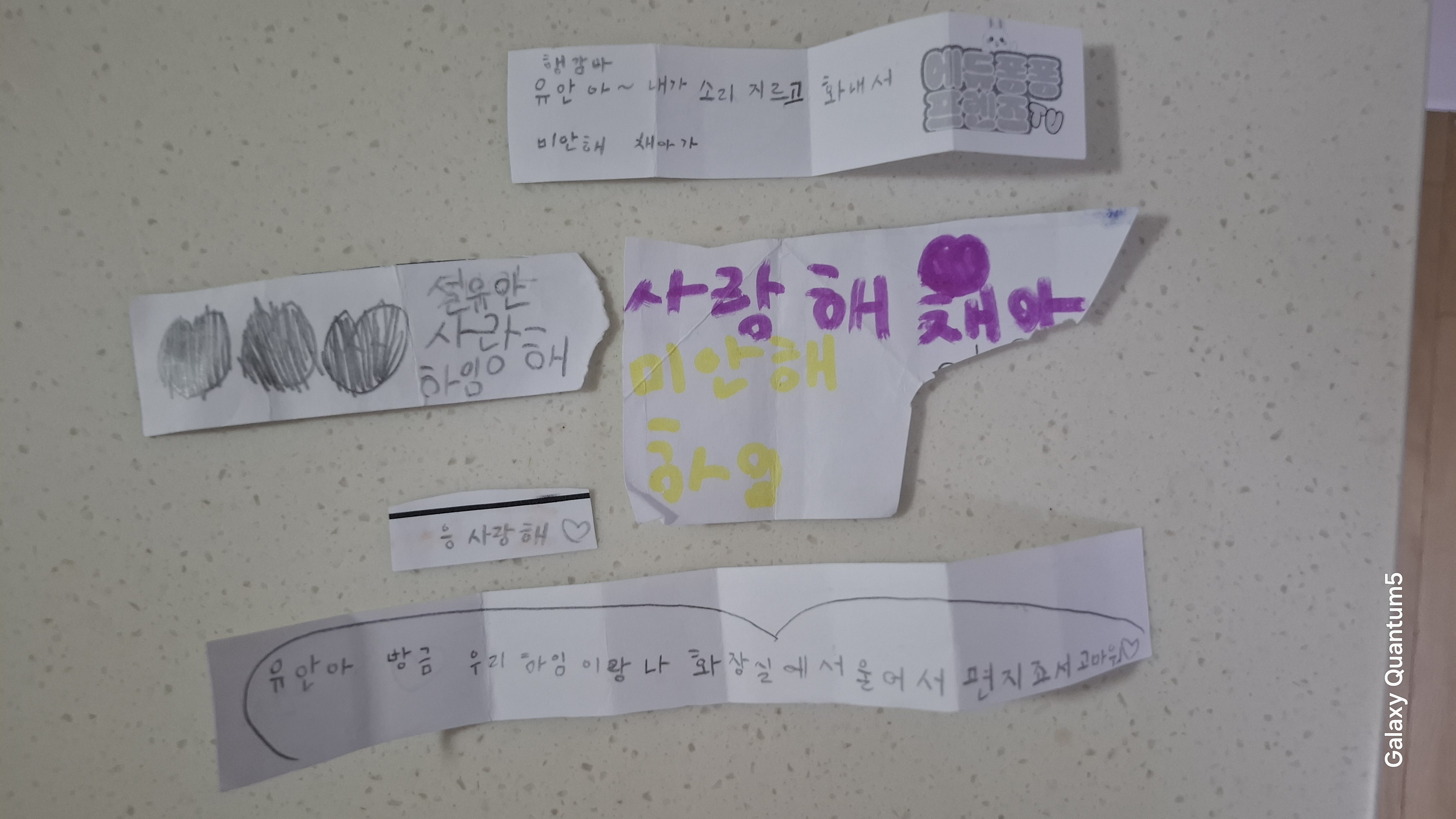 갤러리 이미지