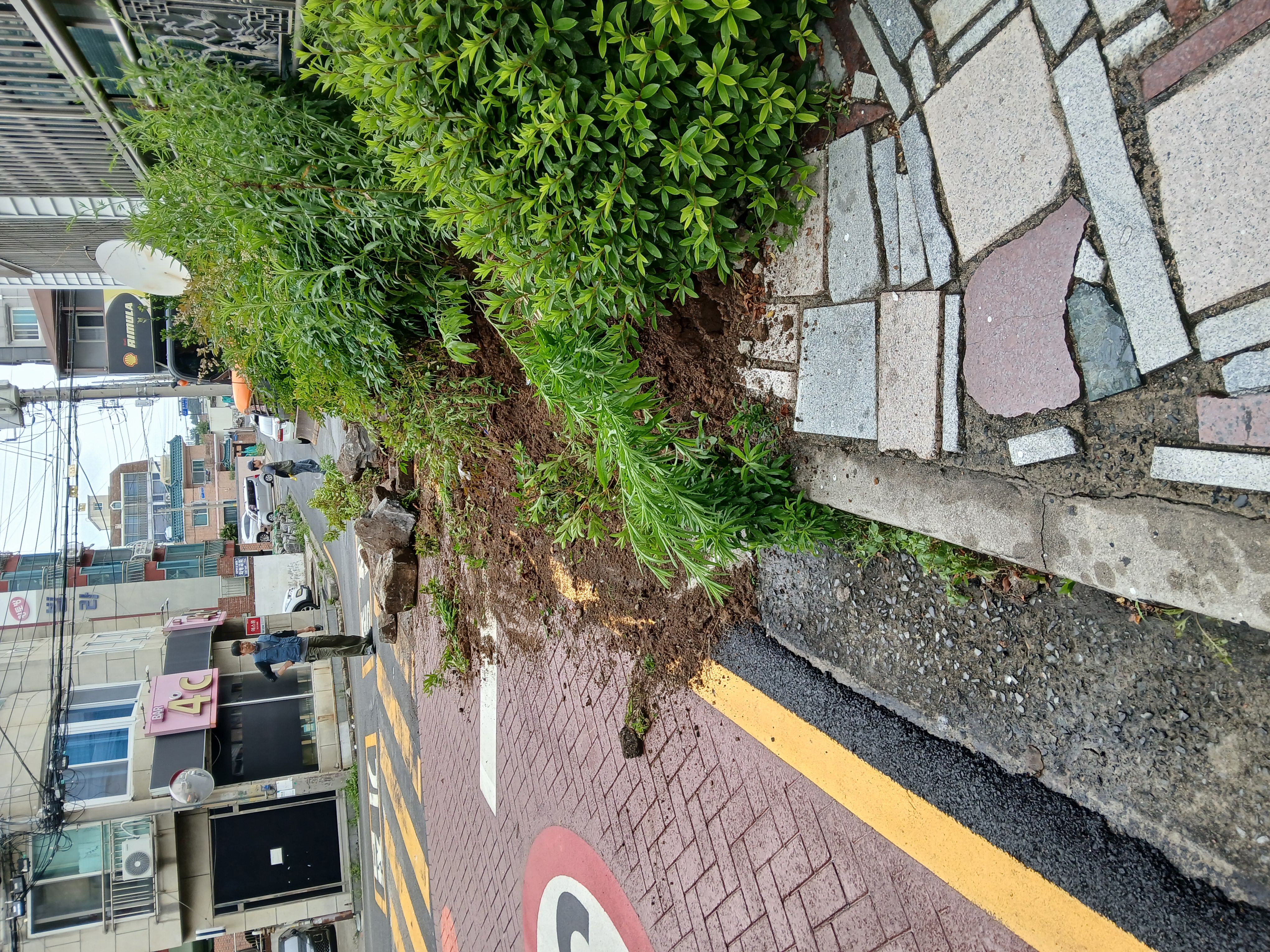 갤러리 이미지