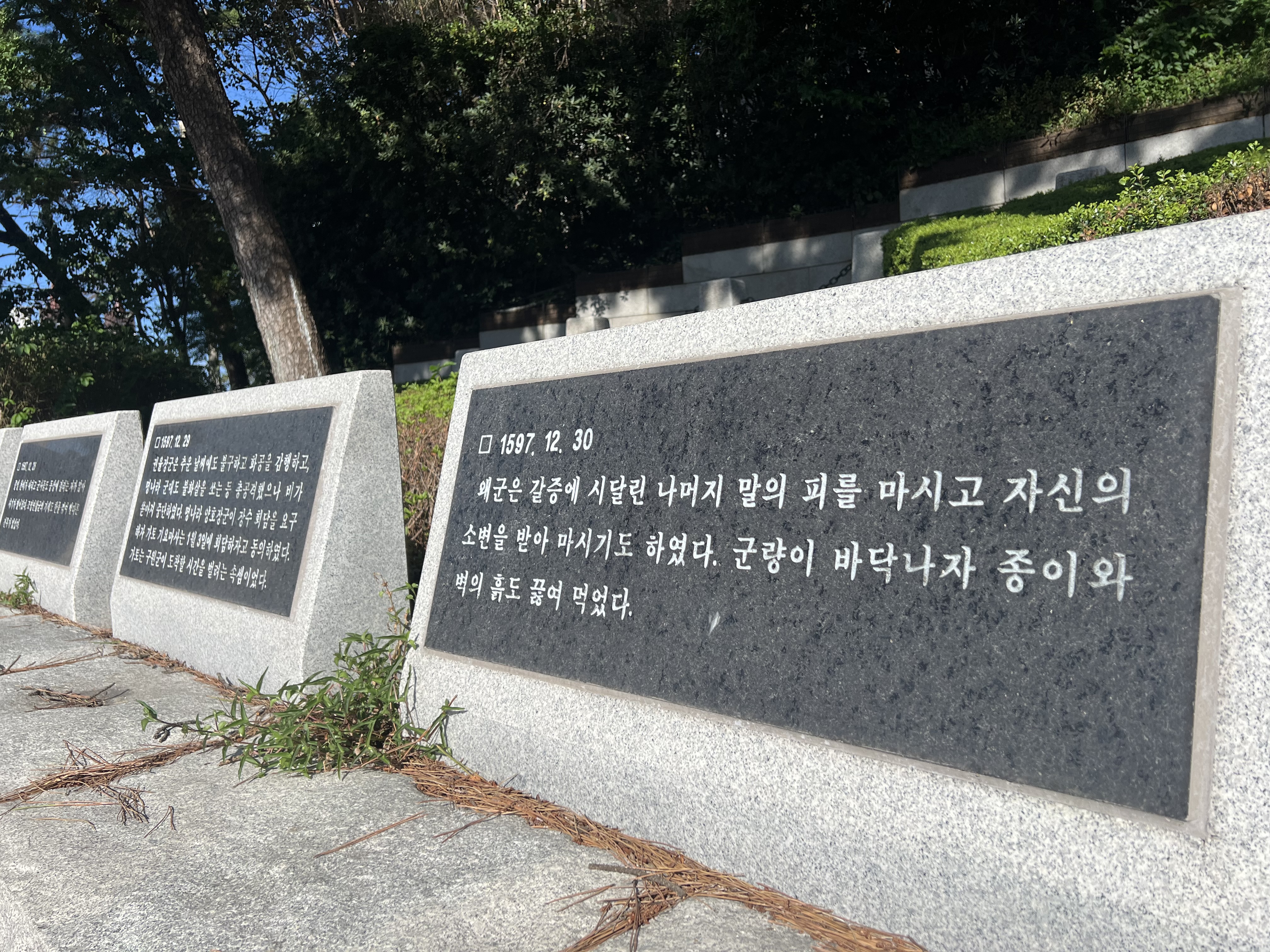 이미지6
