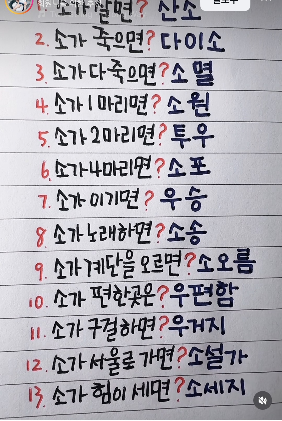 갤러리 이미지