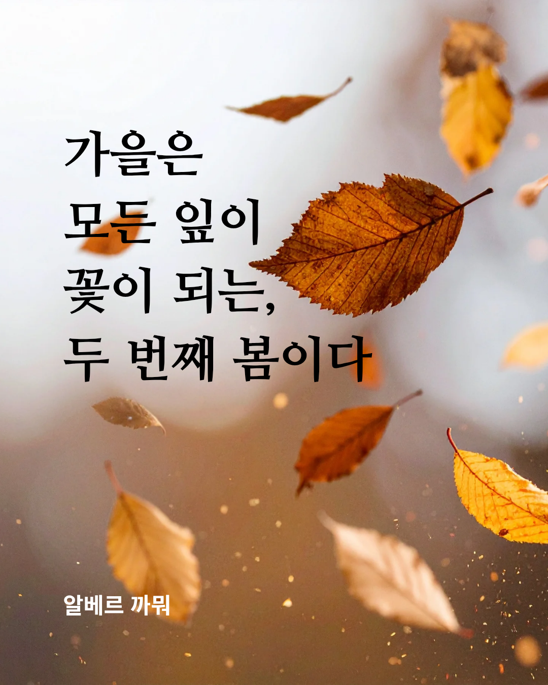 다음글