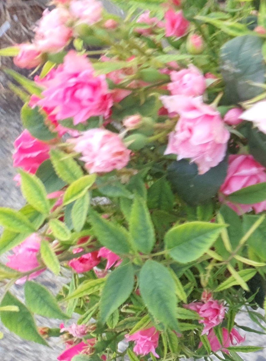 이전글