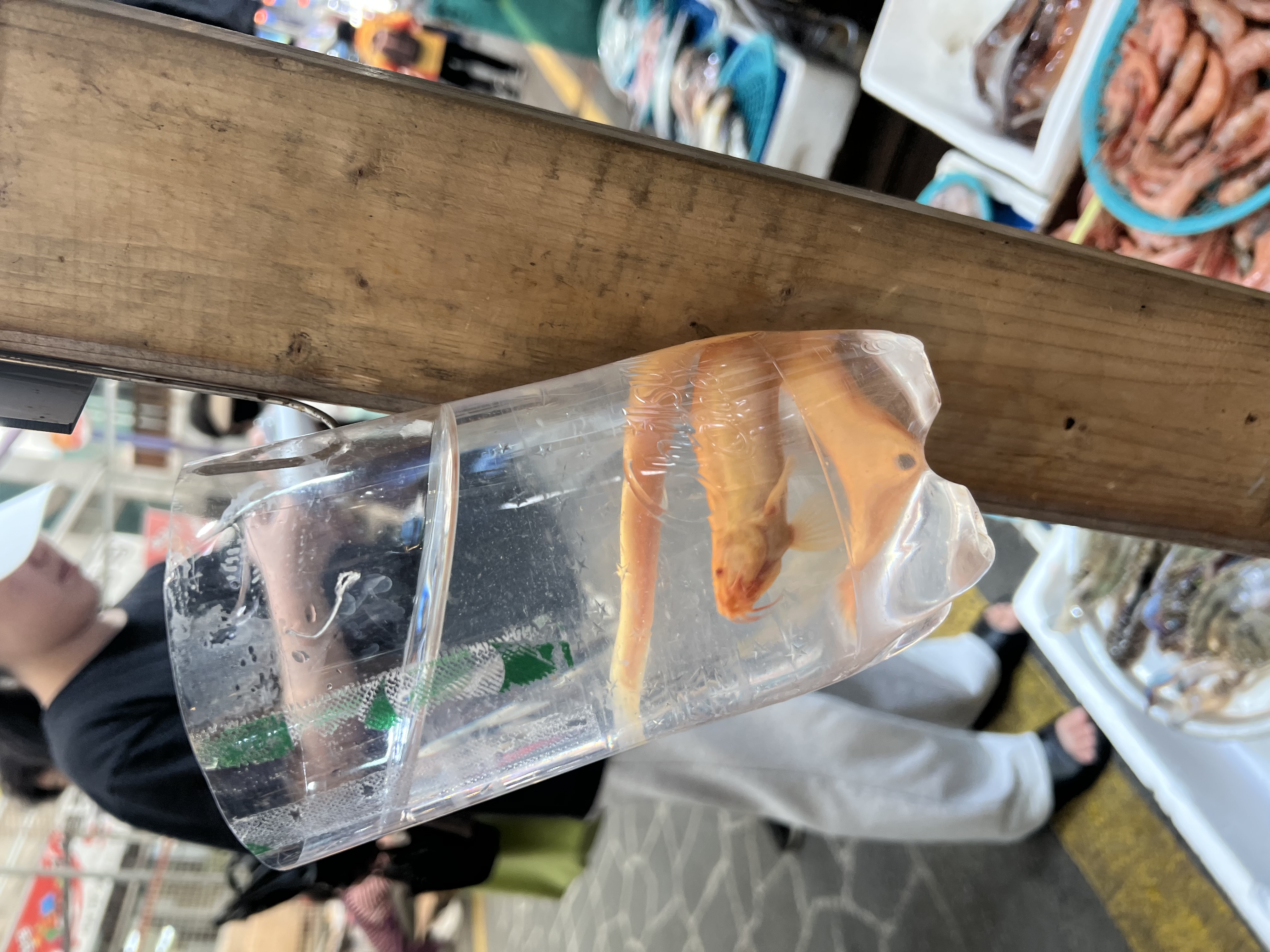 이미지7