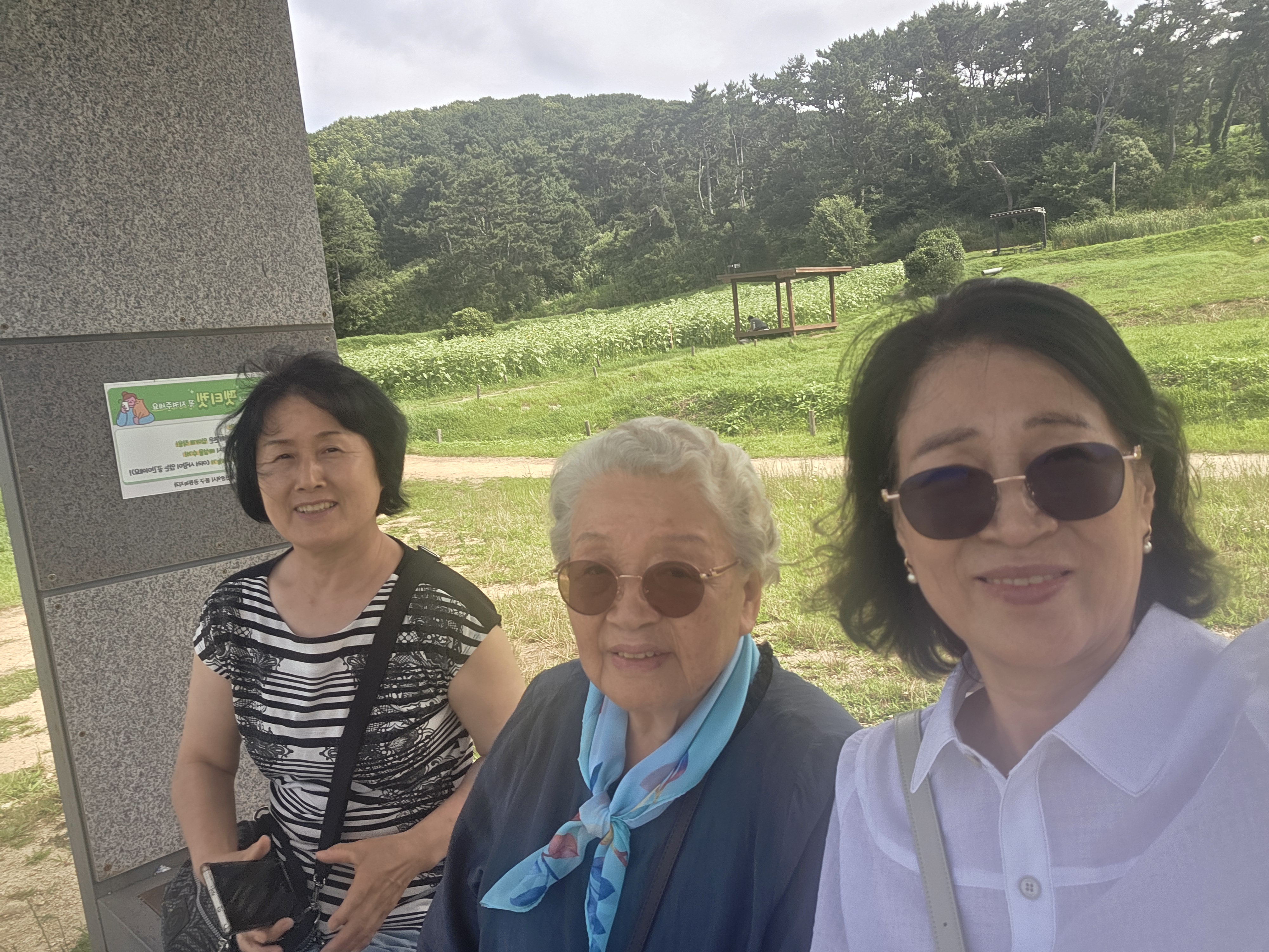 갤러리 이미지